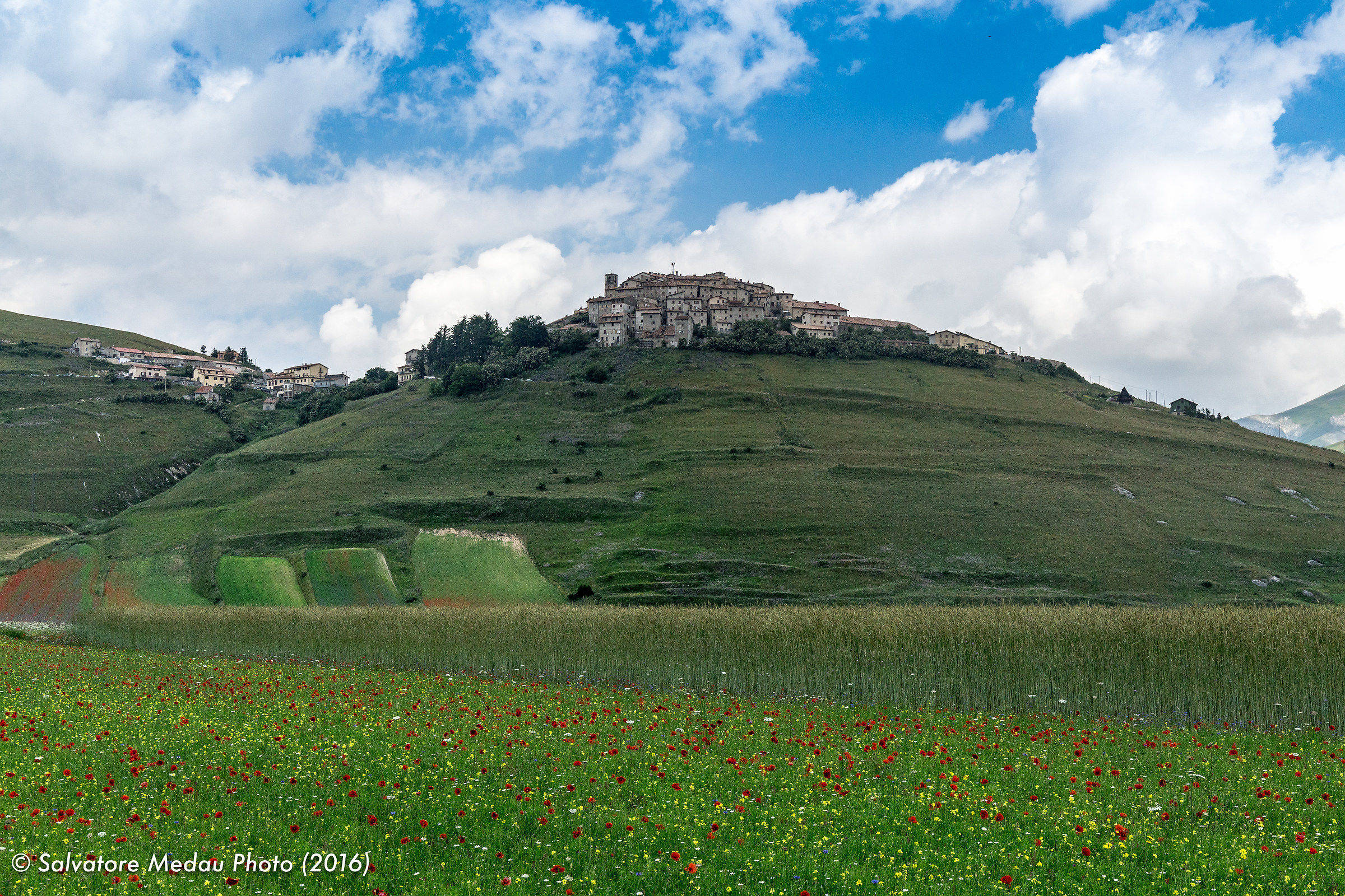 Un tappeto vellutato