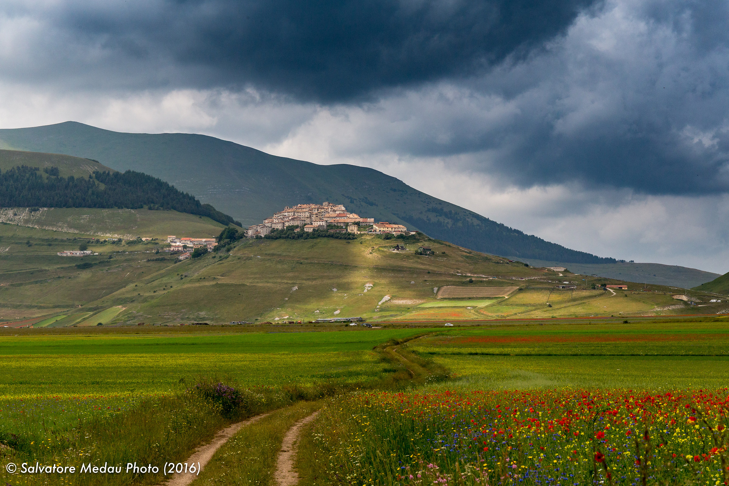 Sulla piana di Castelluccio