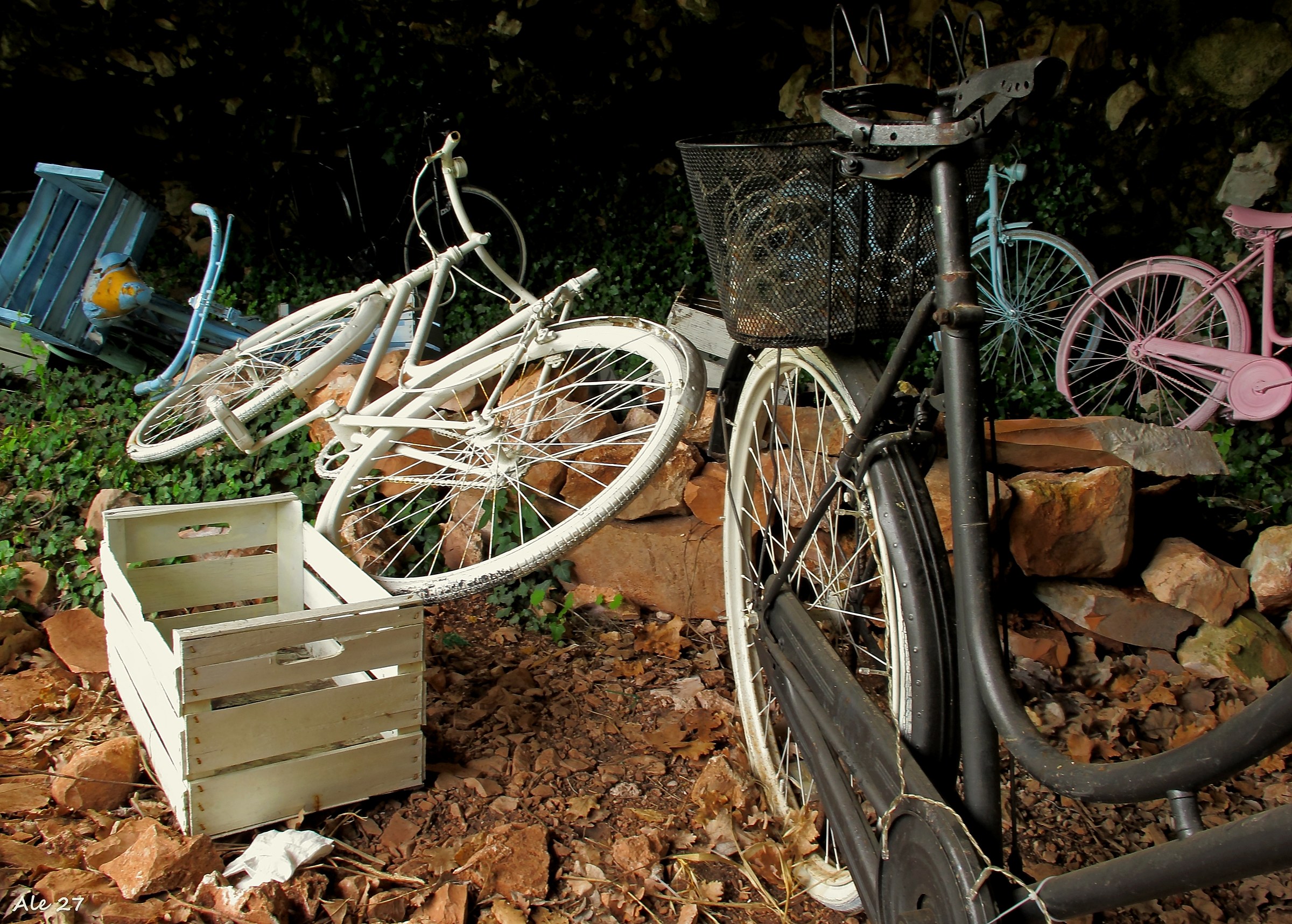 .... Paradise of bicycles ...