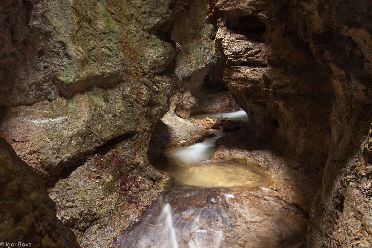Vediamo chi l'azzecca...