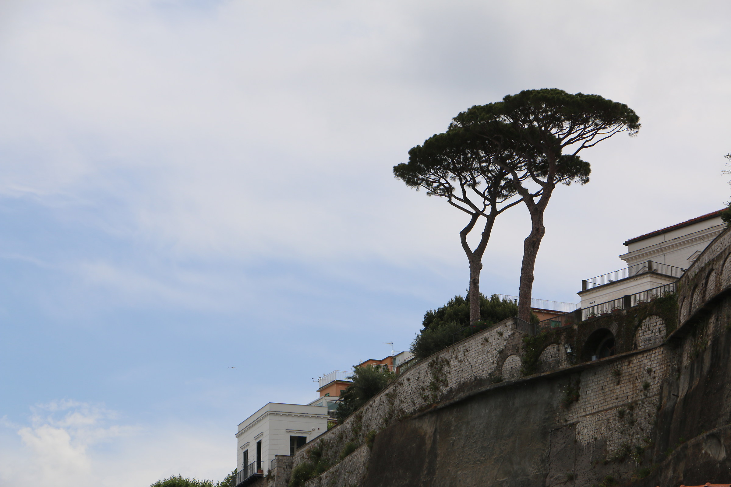 ......e tira forte il vento