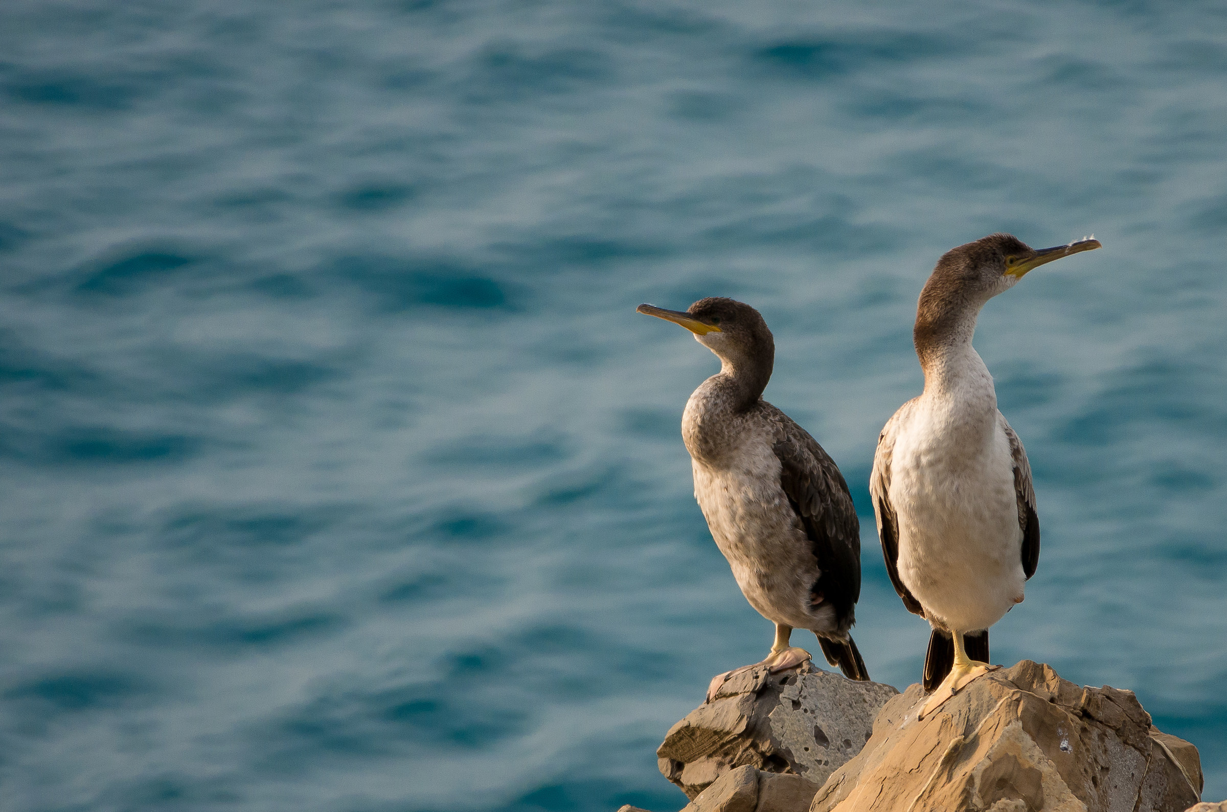 Basta!!! Non ti parlo piu'!!!!