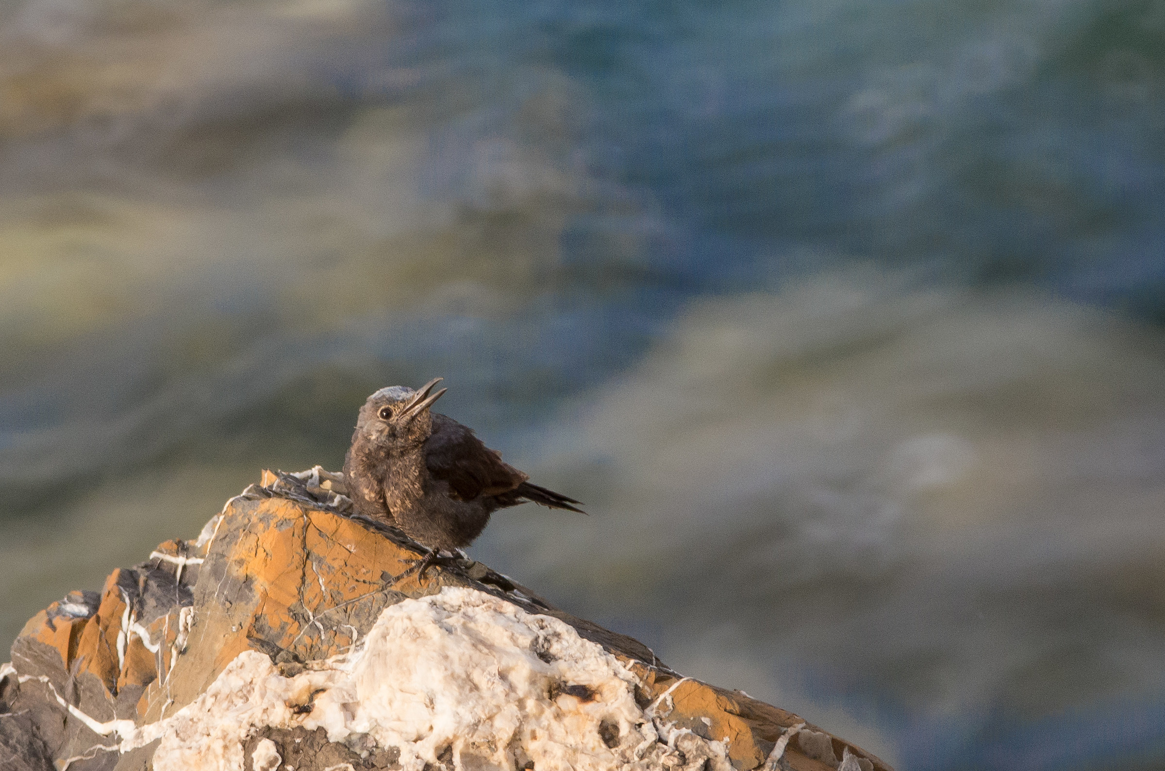 Stai parlando con me?!?!?