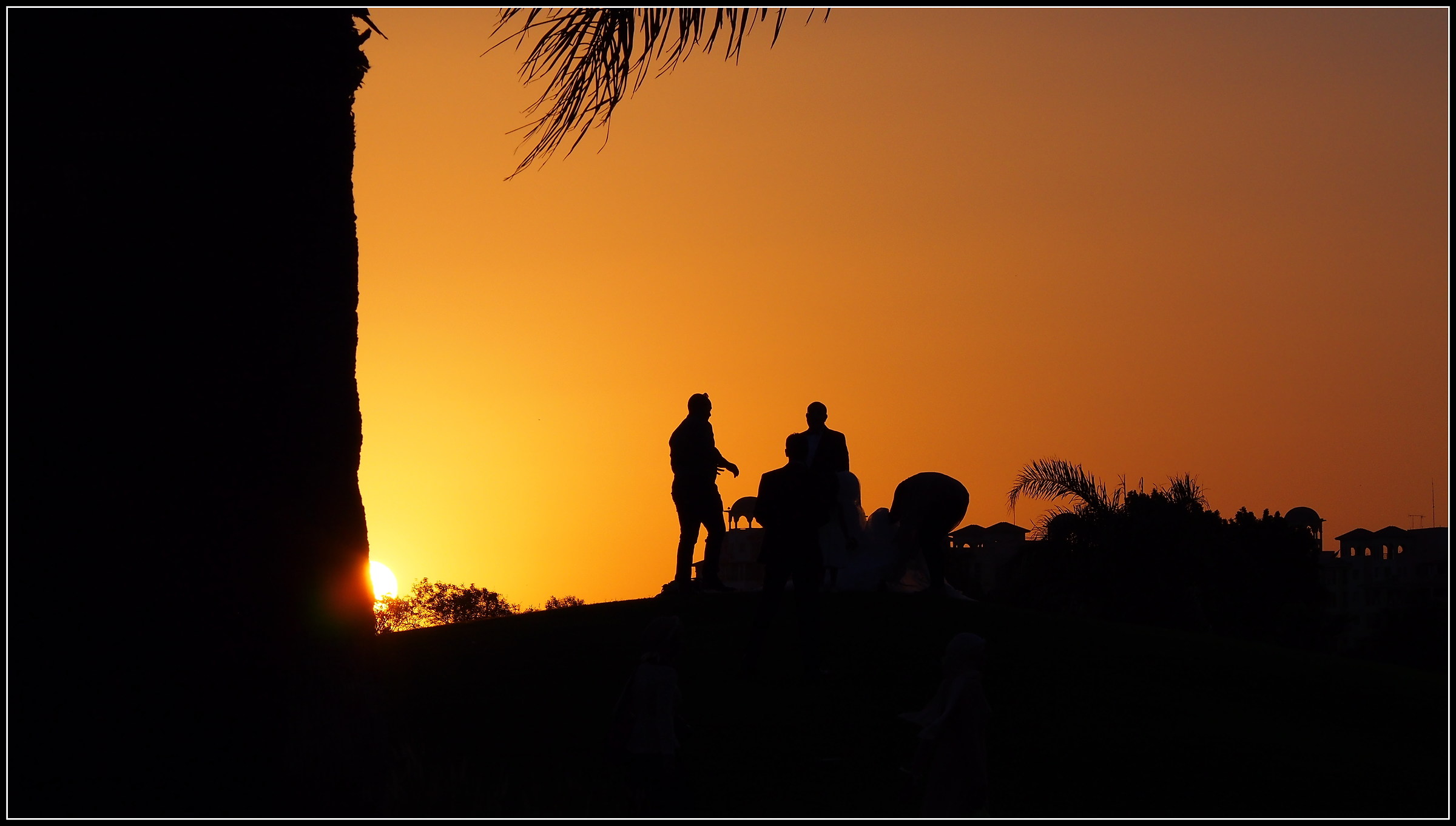 Sunset Wedding Day Egypt