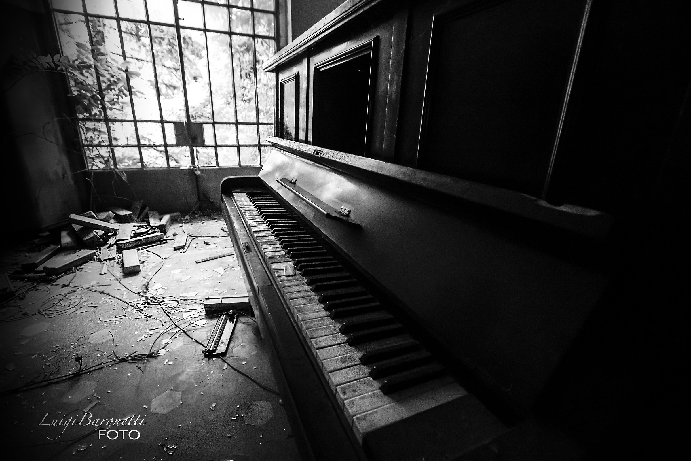 "Una vita senza musica è come un corpo senza ani...