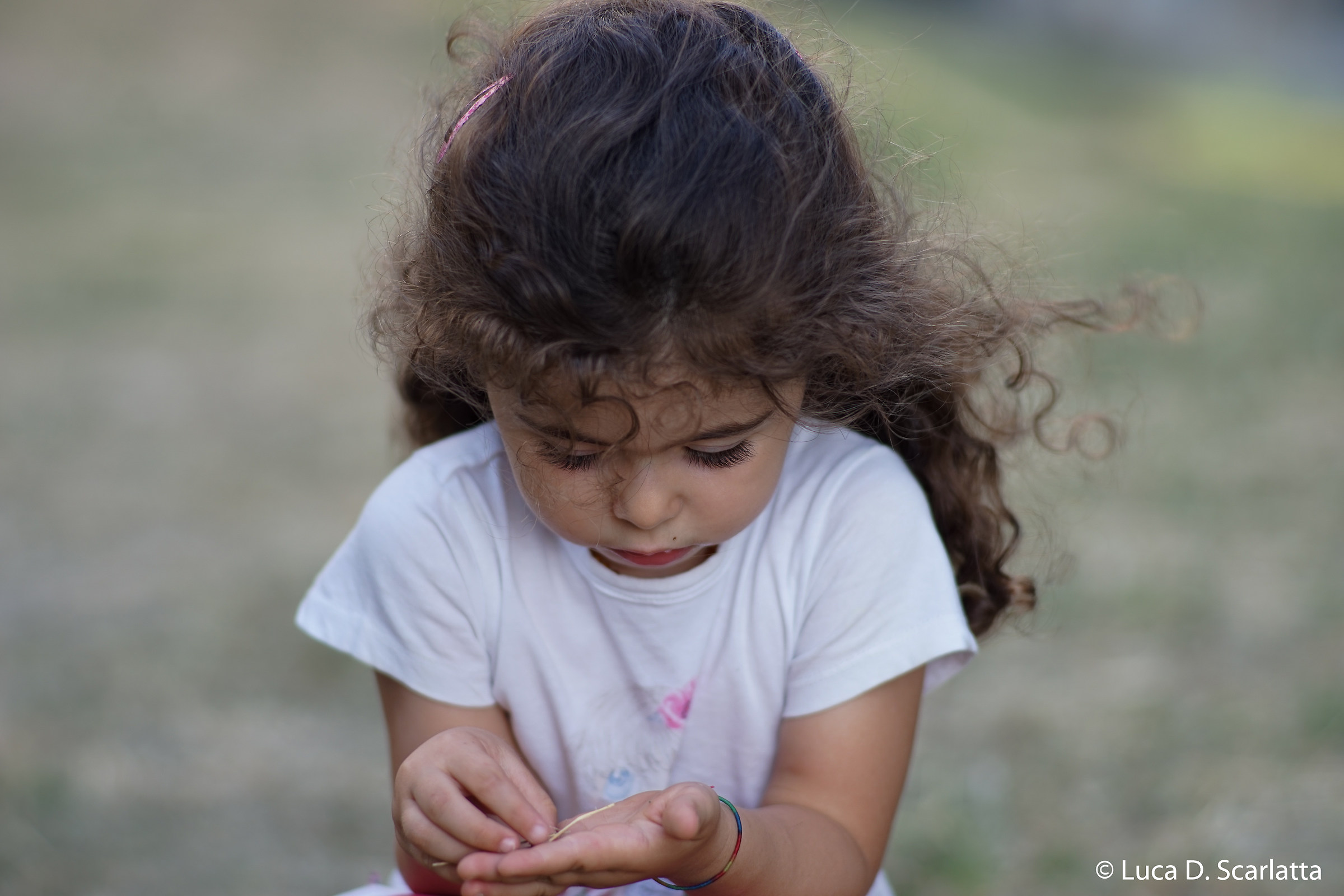 I found a very precious sprig