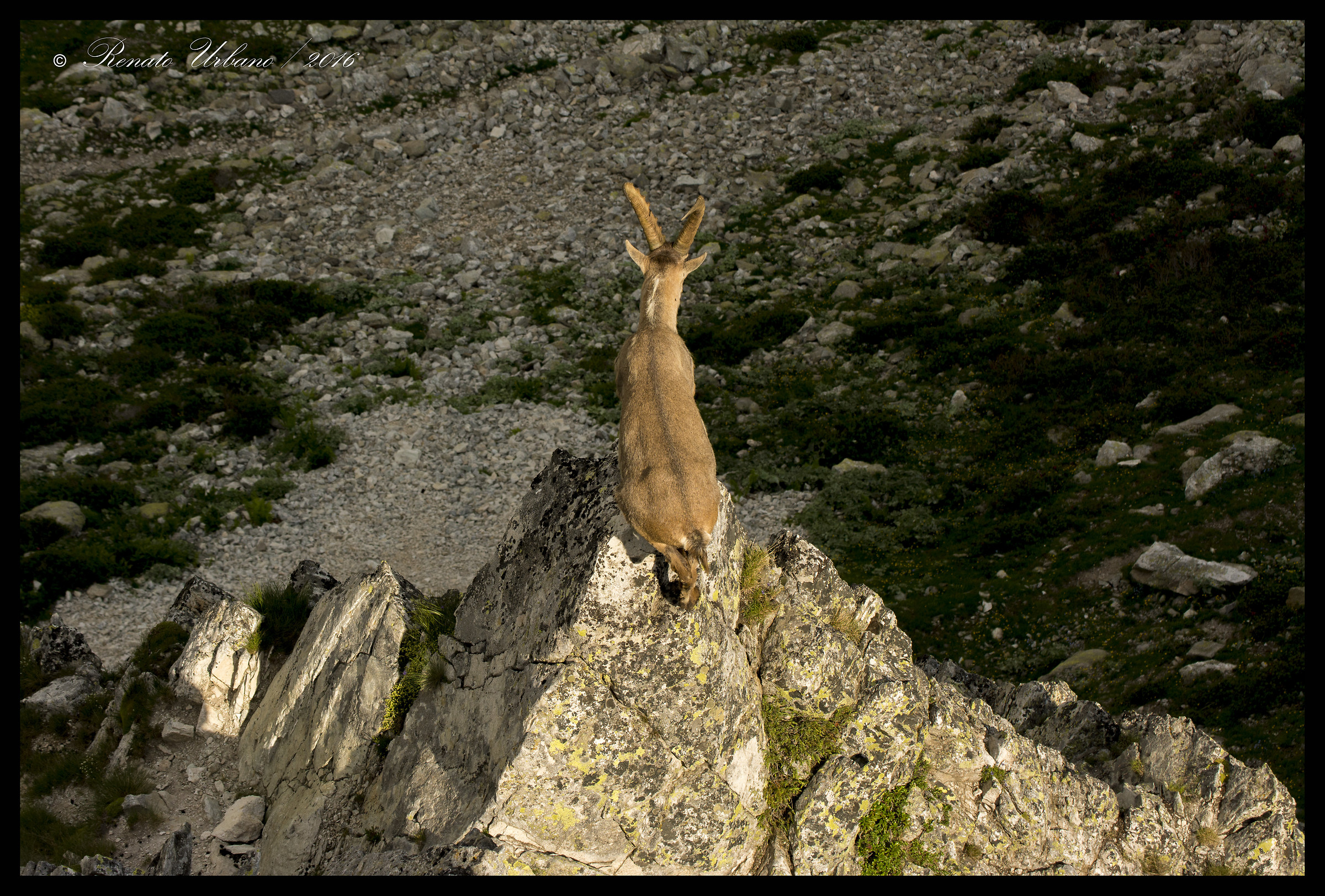 Spectator in the first file