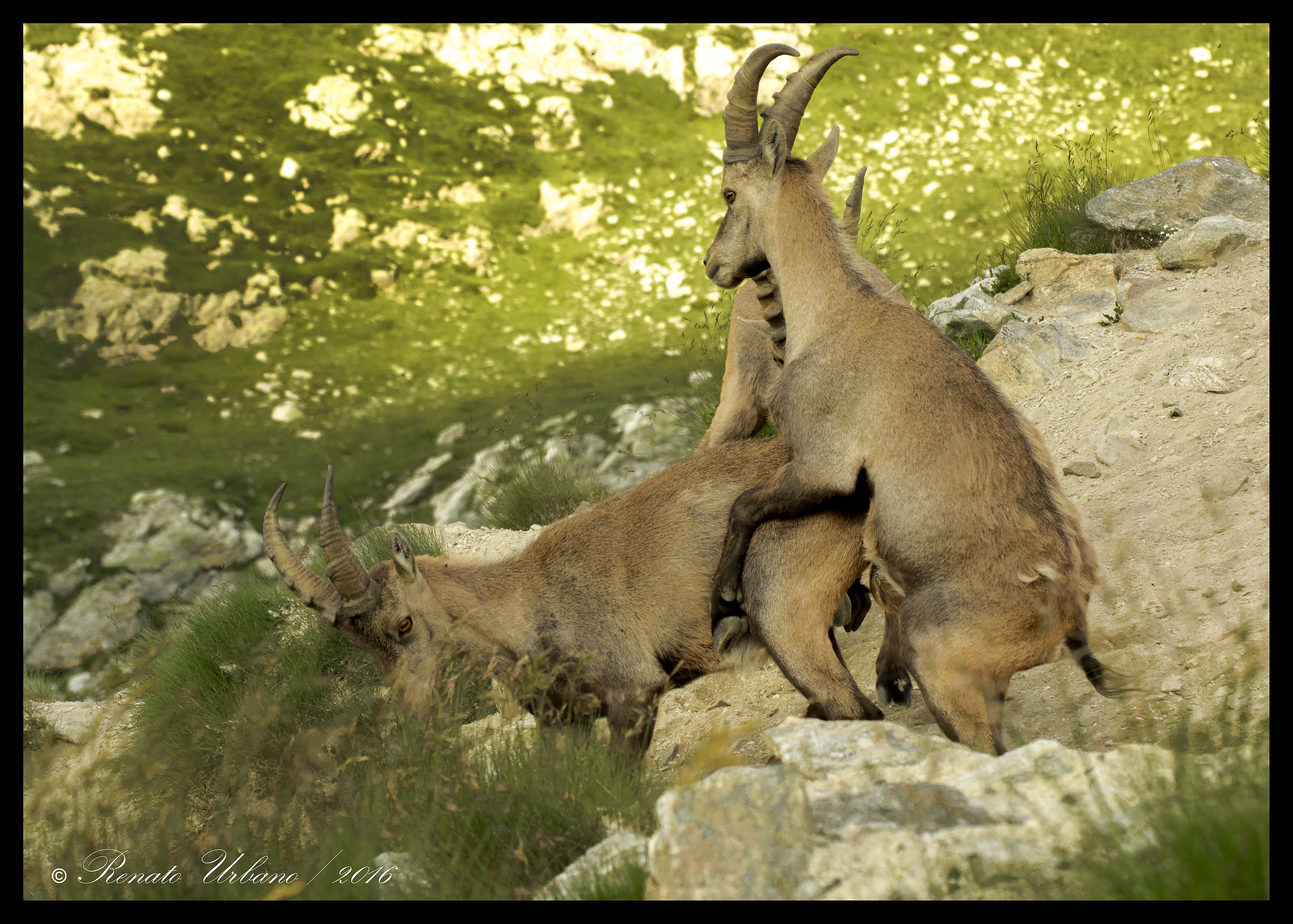 erotic games between boys