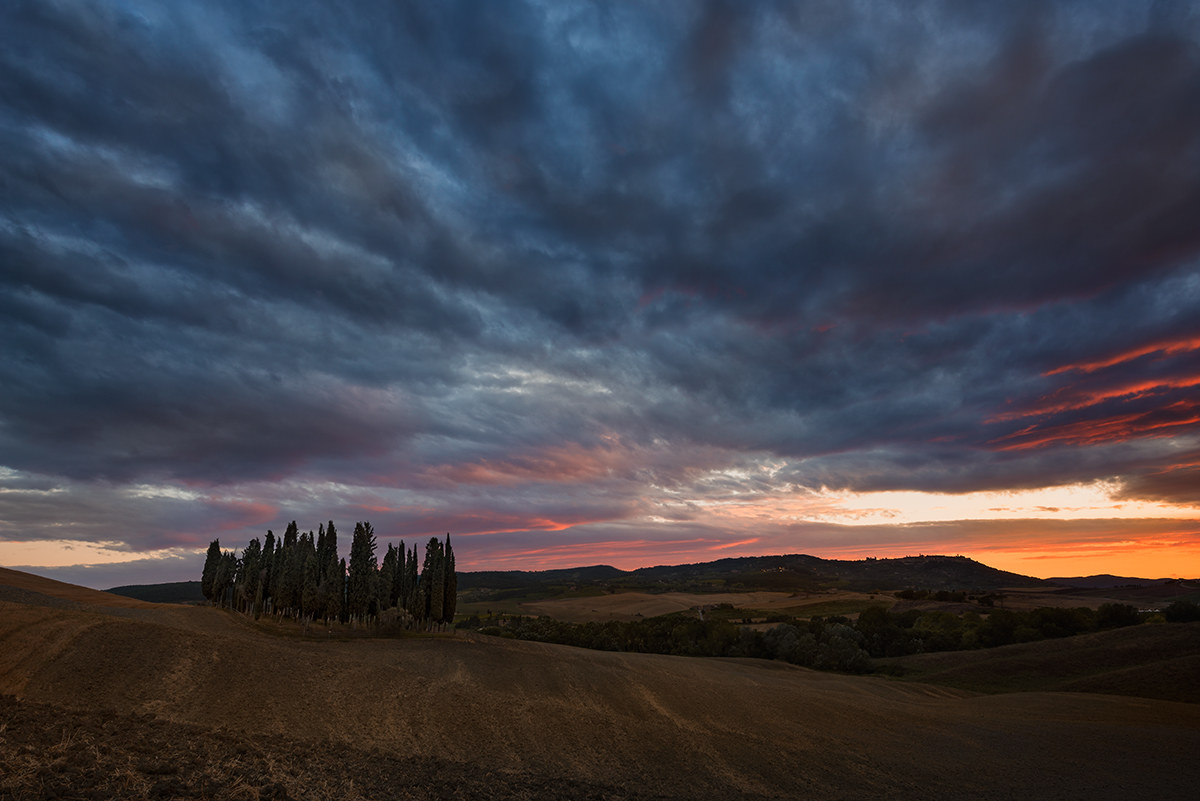 Cipressi al tramonto