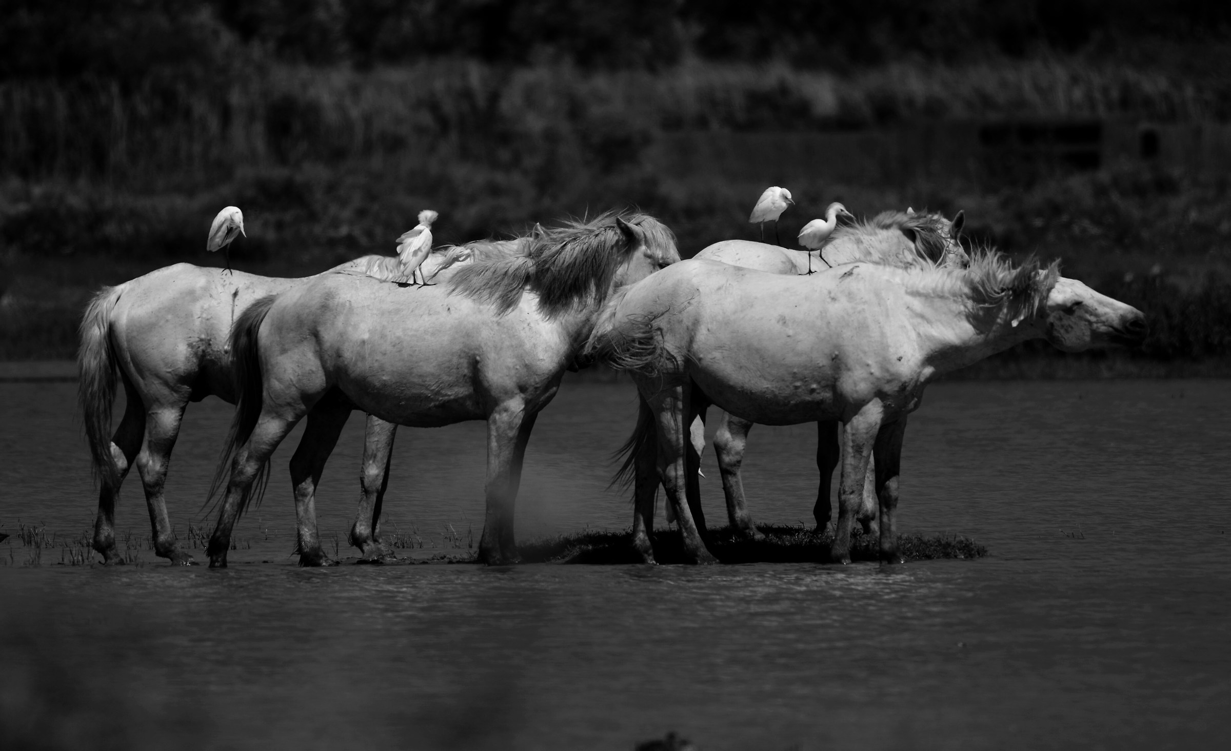 Ad ognuno il suo....