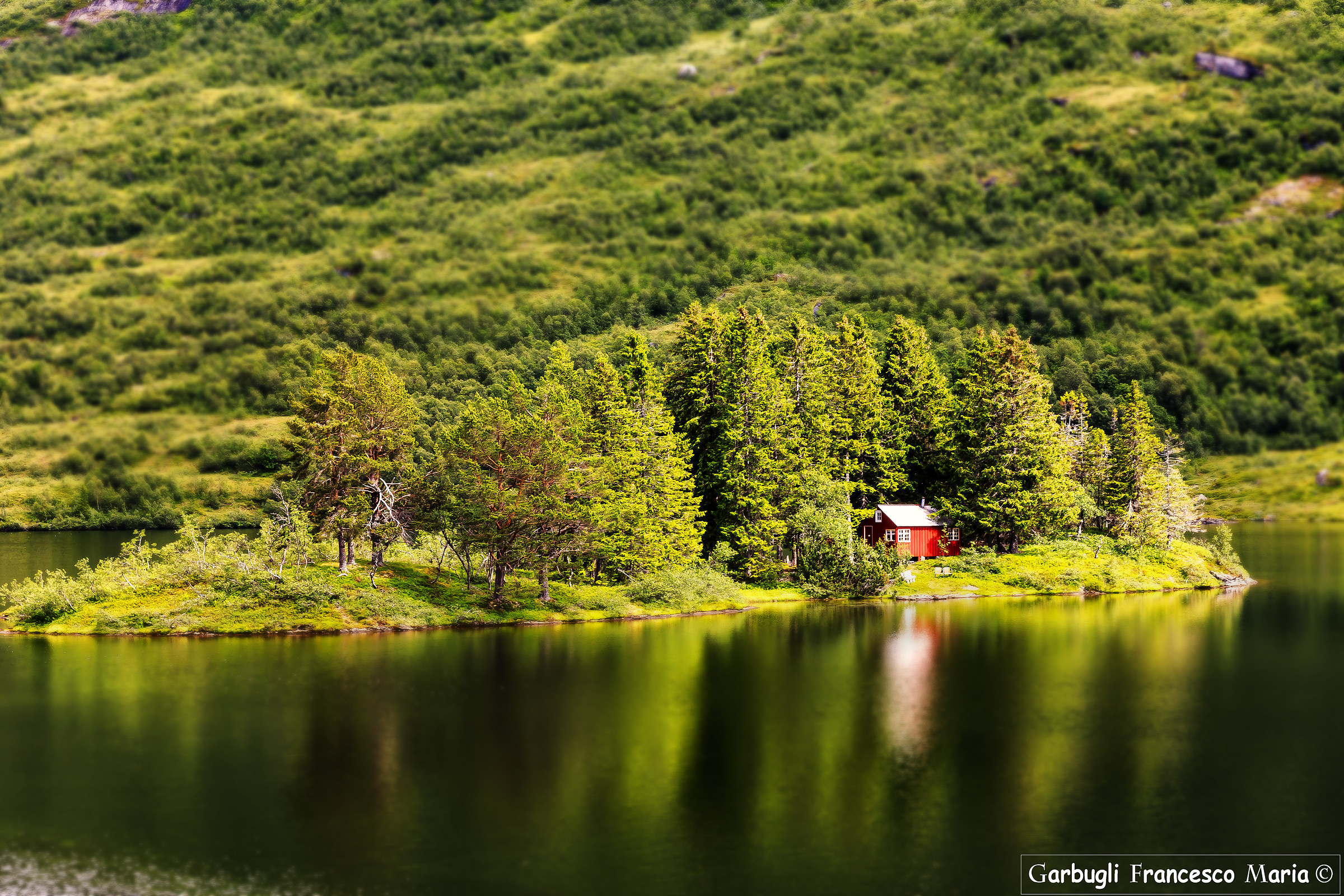 The magical island of green lake
