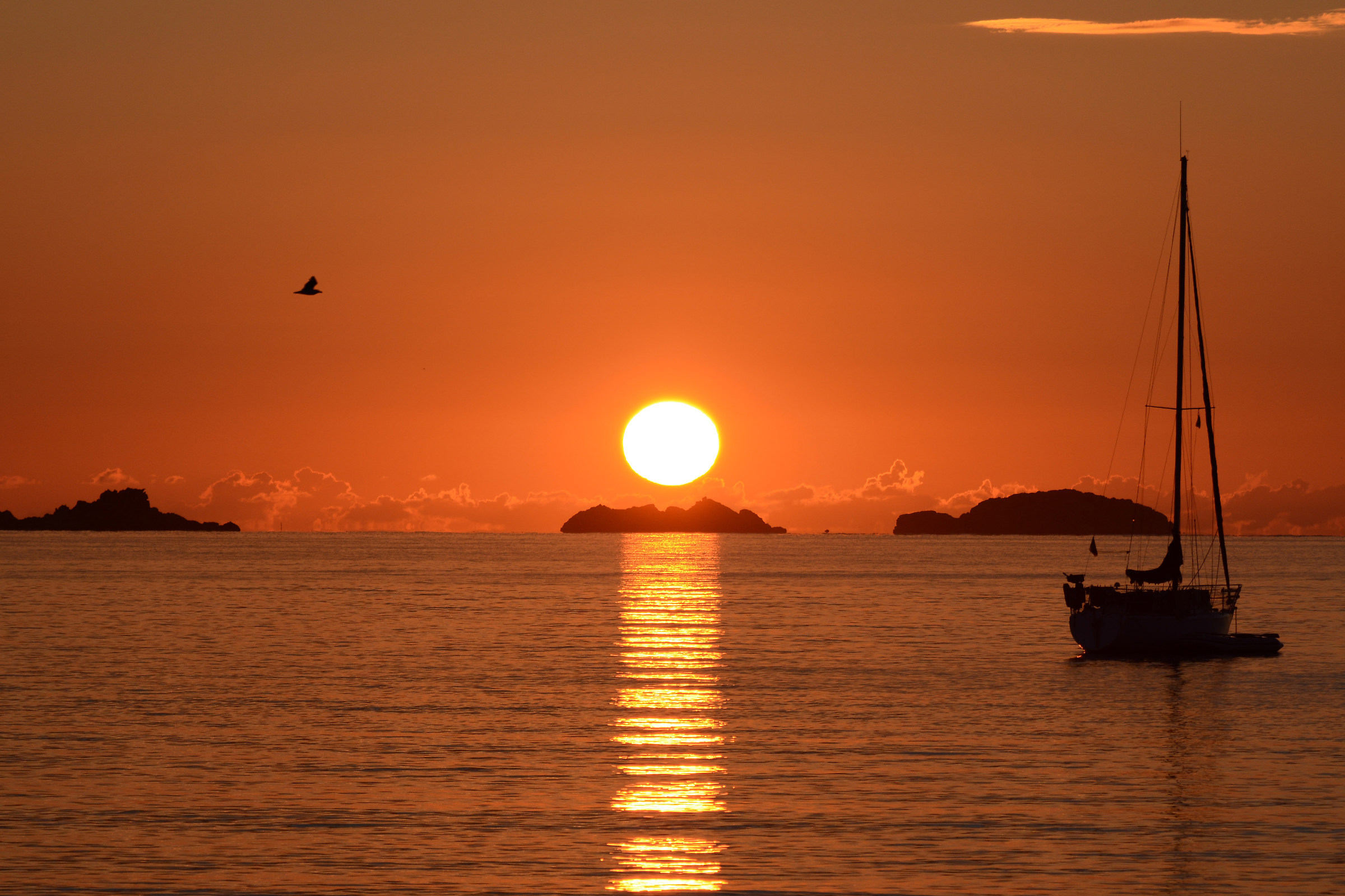 There ;-) dawn traffic