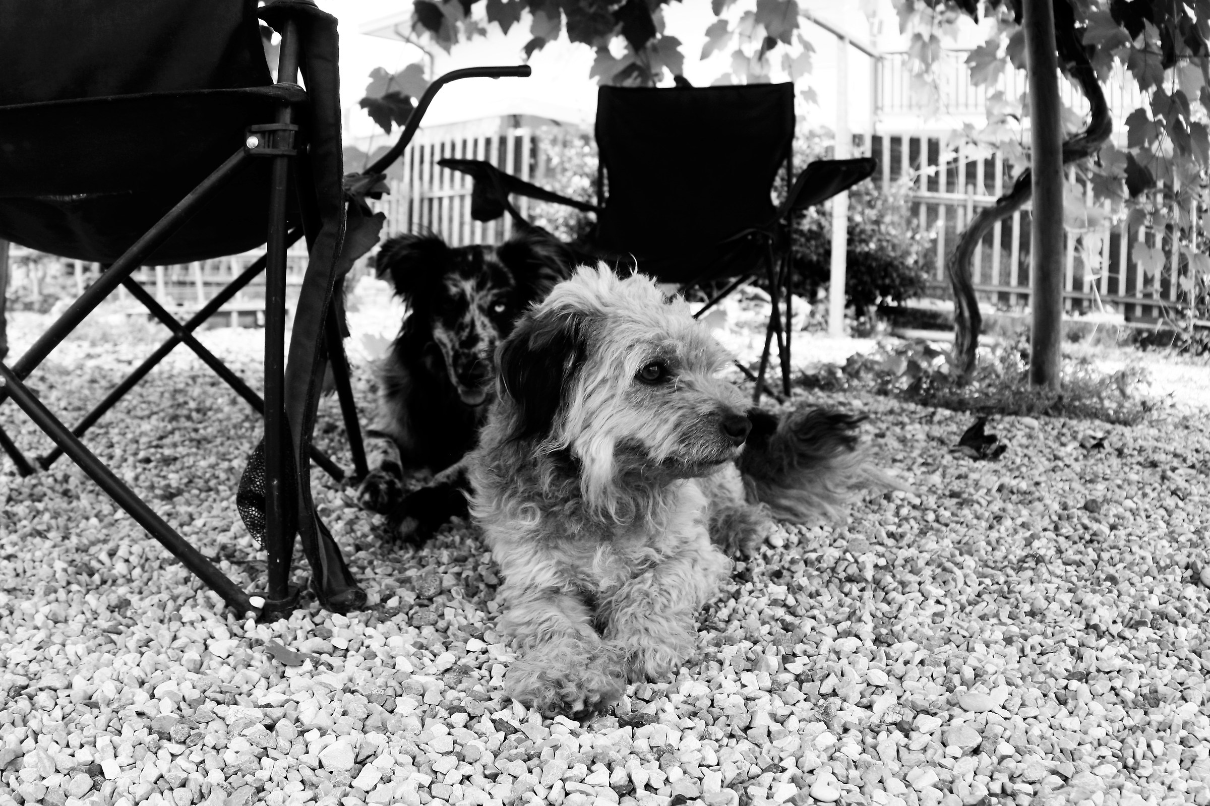 Test Zenitar 16mm f5.6