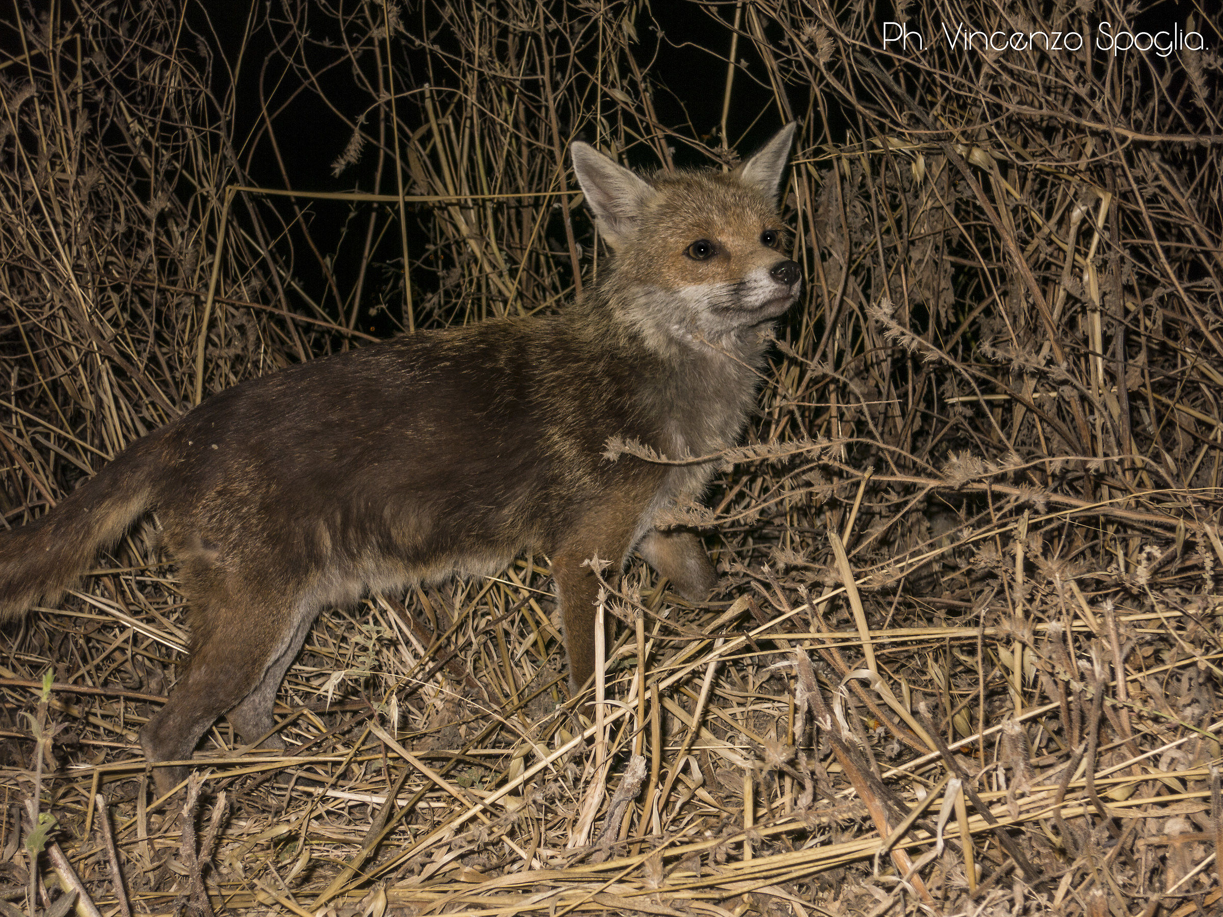 An unusual and pleasant meeting ...