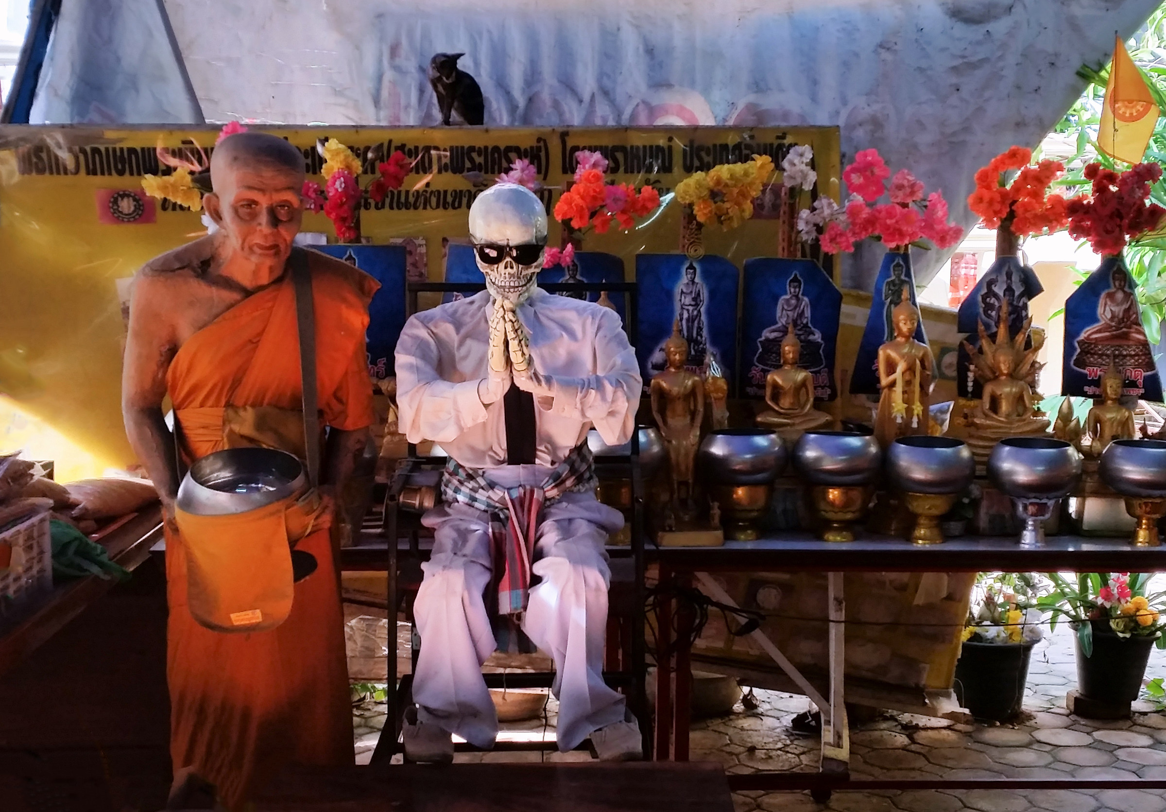 Ironia della....morte