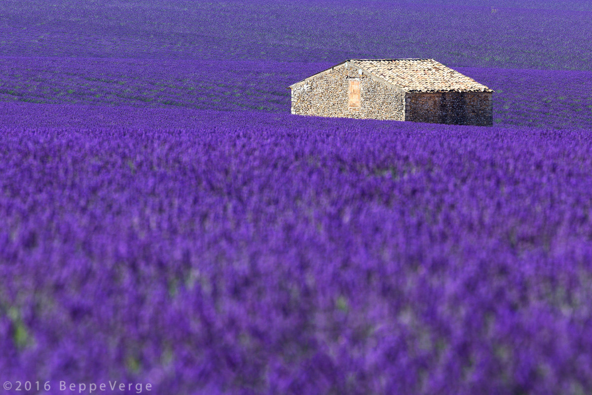 Valensole