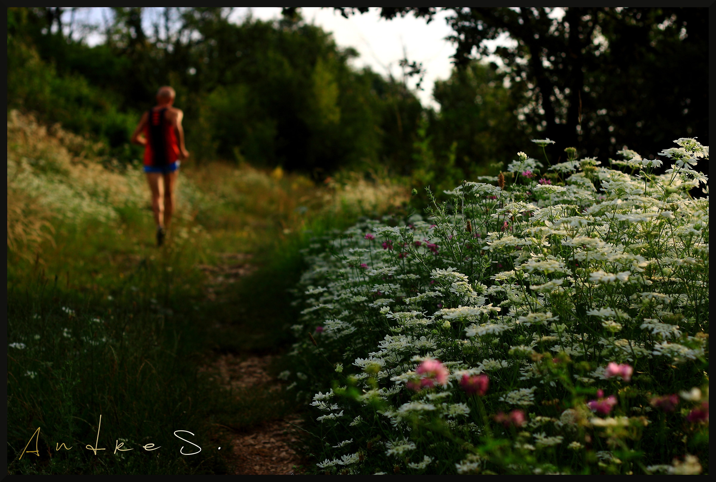in mezzo alla natura