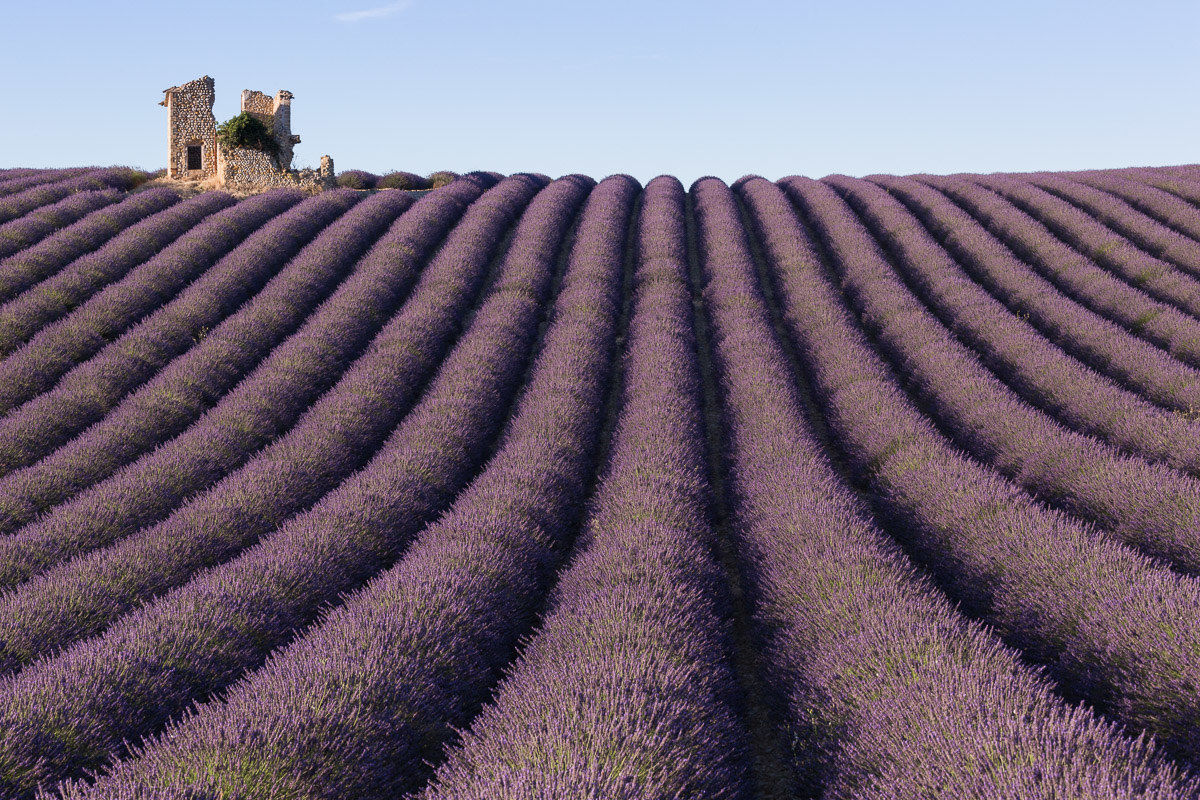 Provence