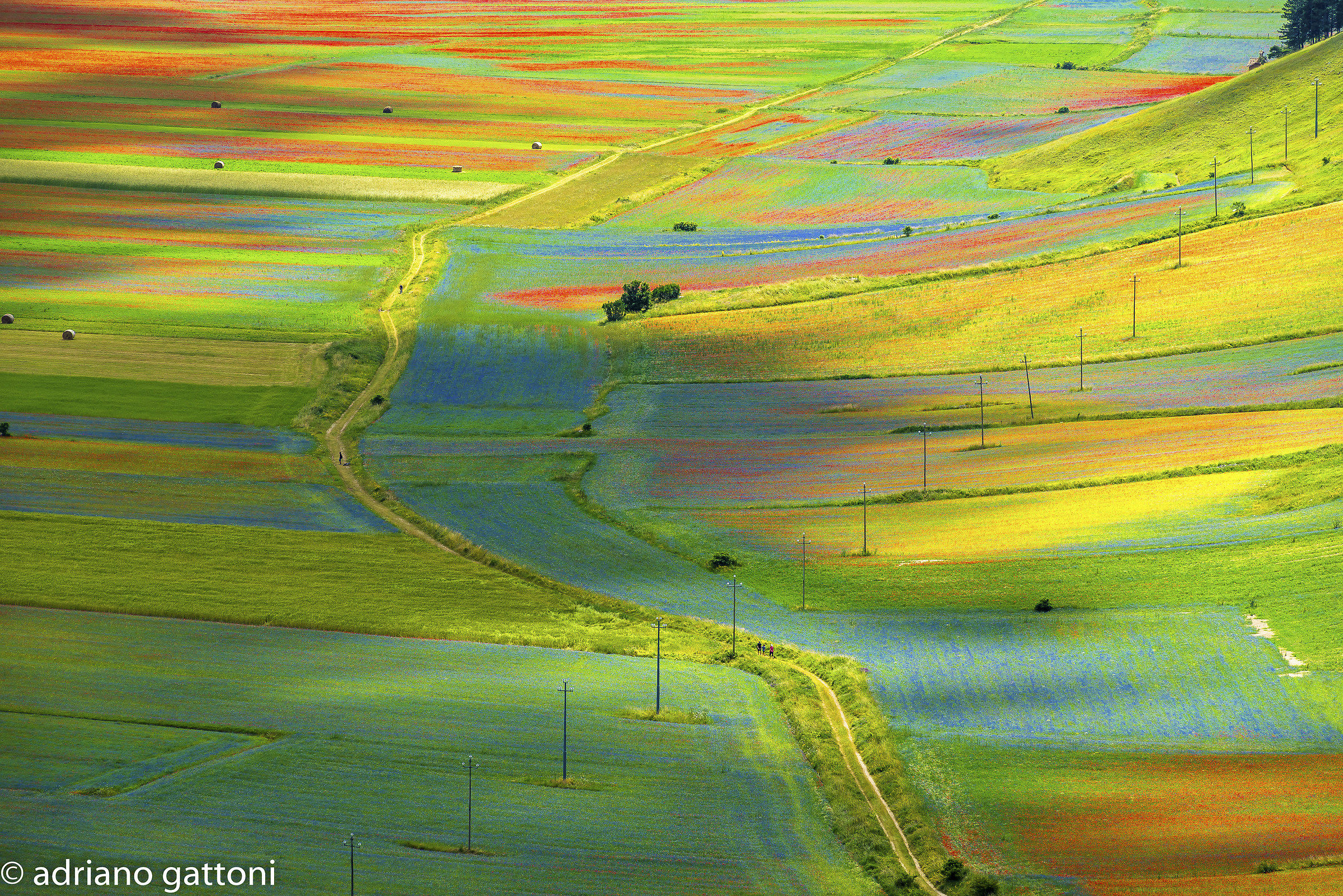 Castelluccio, luci ed ombre!