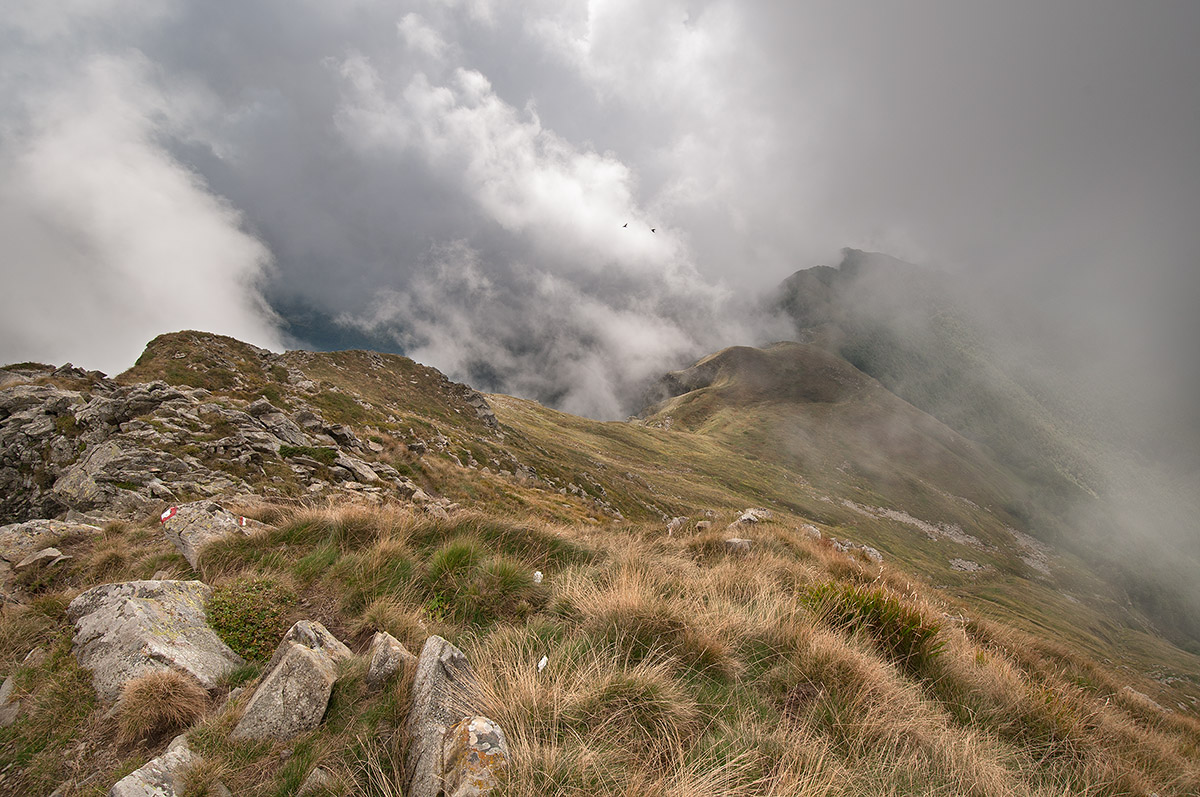 From the summit of Rondinaio