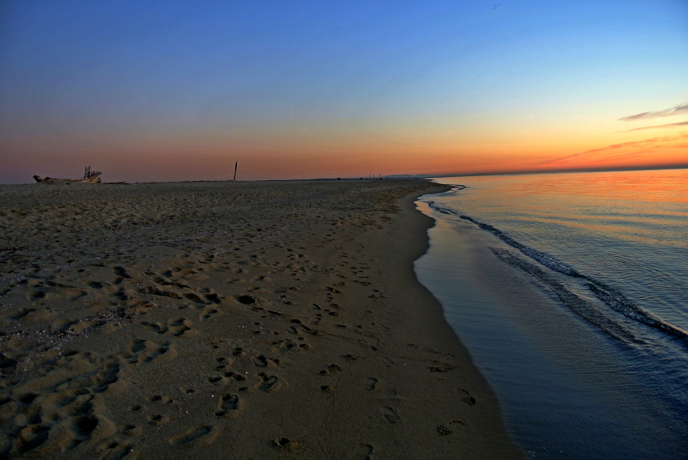 eastern beach in Viareggio 2