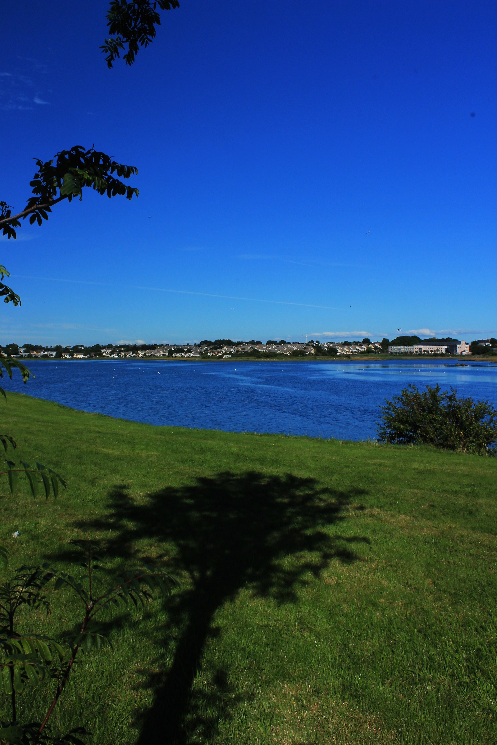 all'ombra dell'ultimo sole