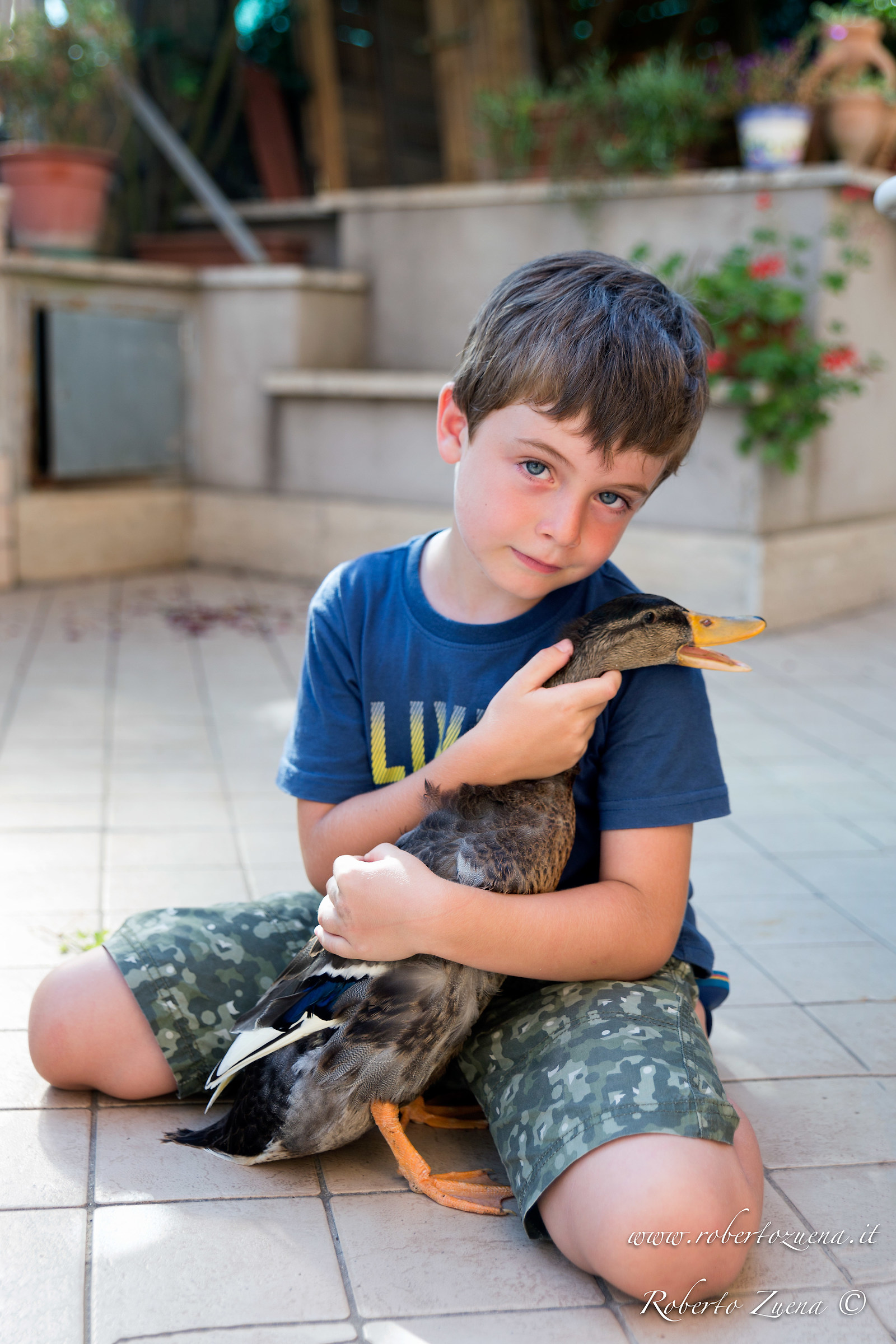 aspettando che le patate crescano