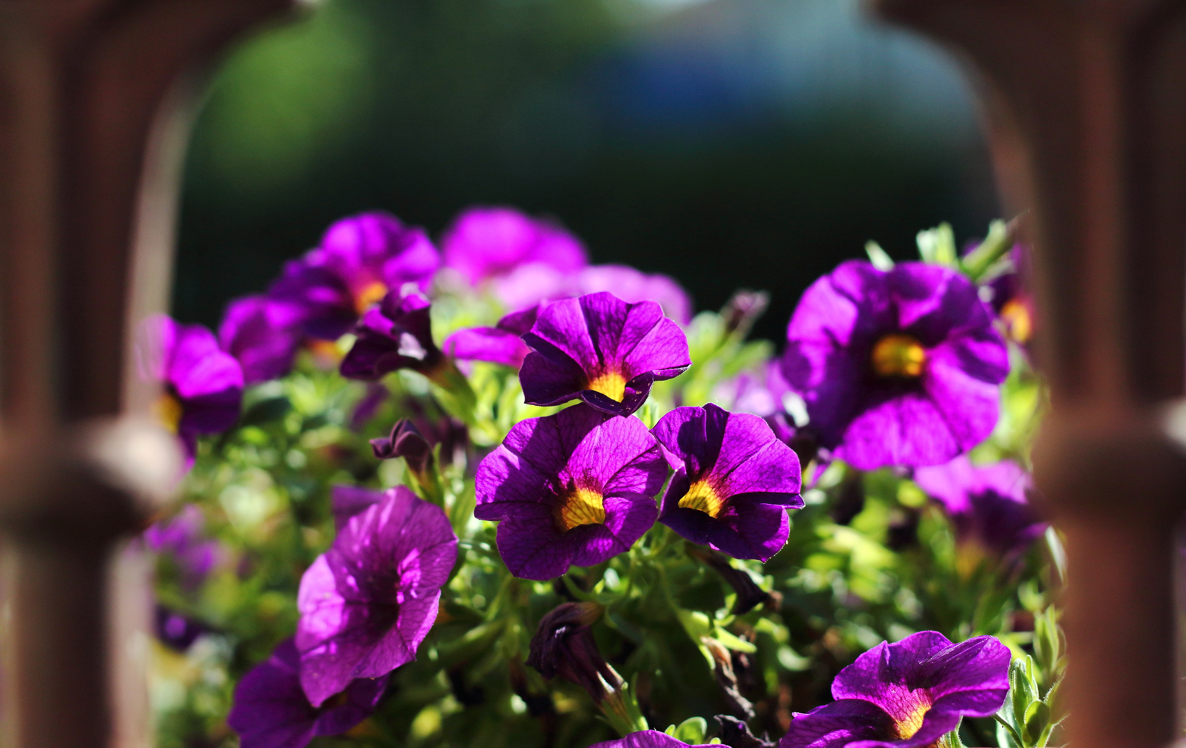 Come comari che pettegolano.