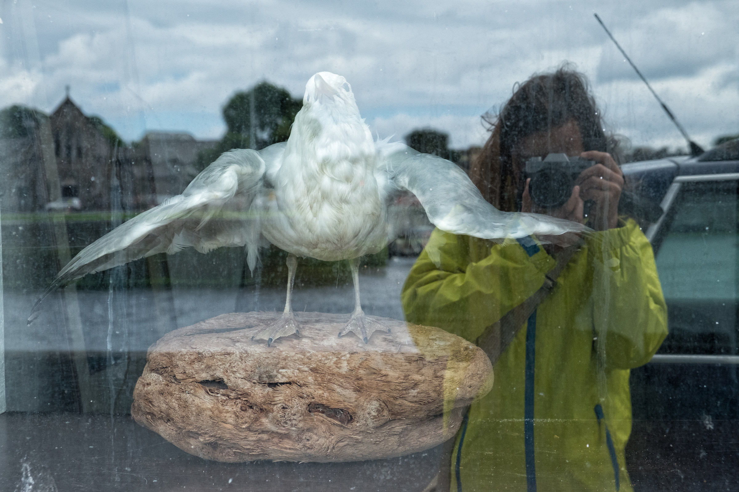 autoritratto con gabbiano