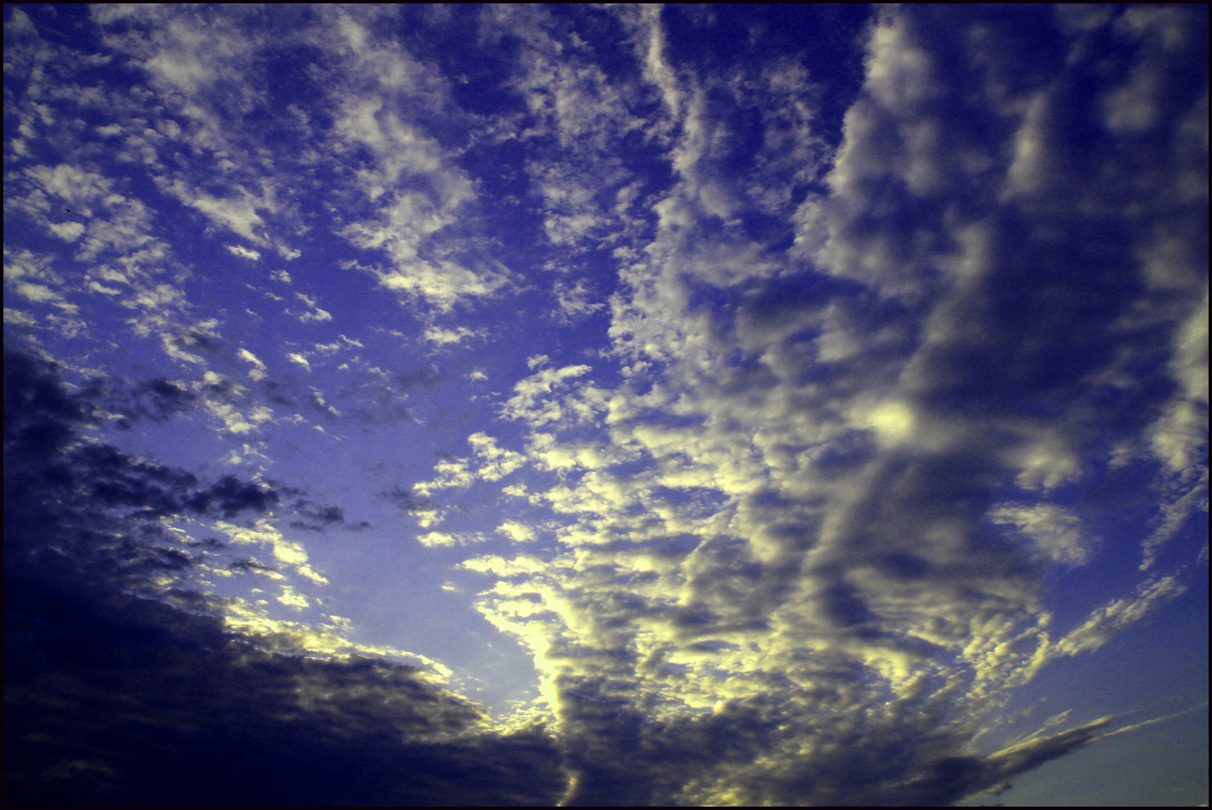 nature ... always draws great!