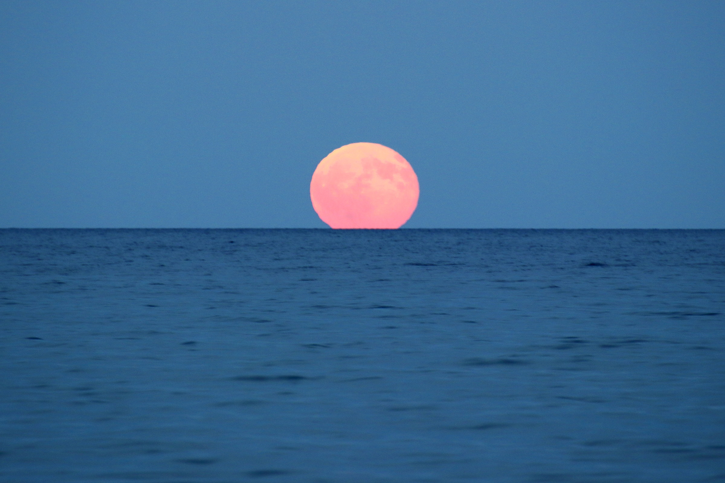 luna rossa emerge...