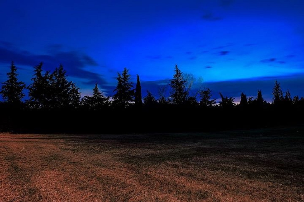 The color of the night