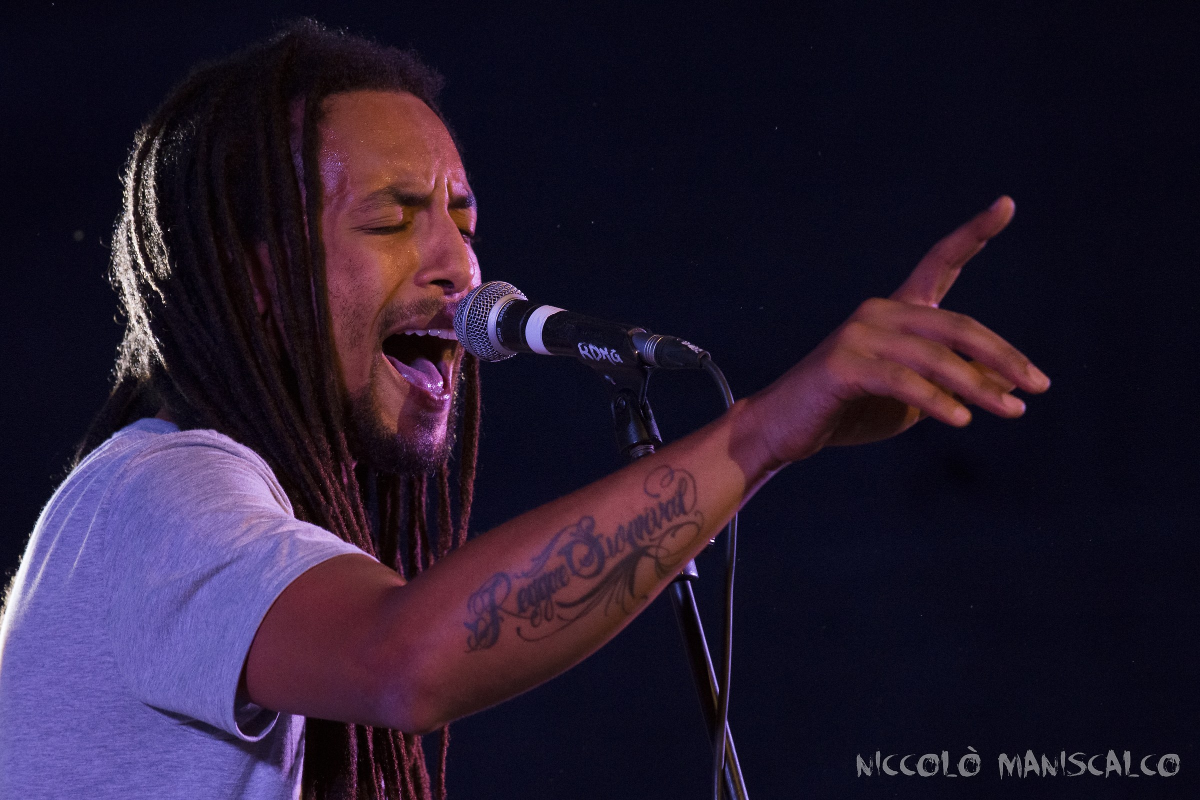 Raphael, Reggae Power