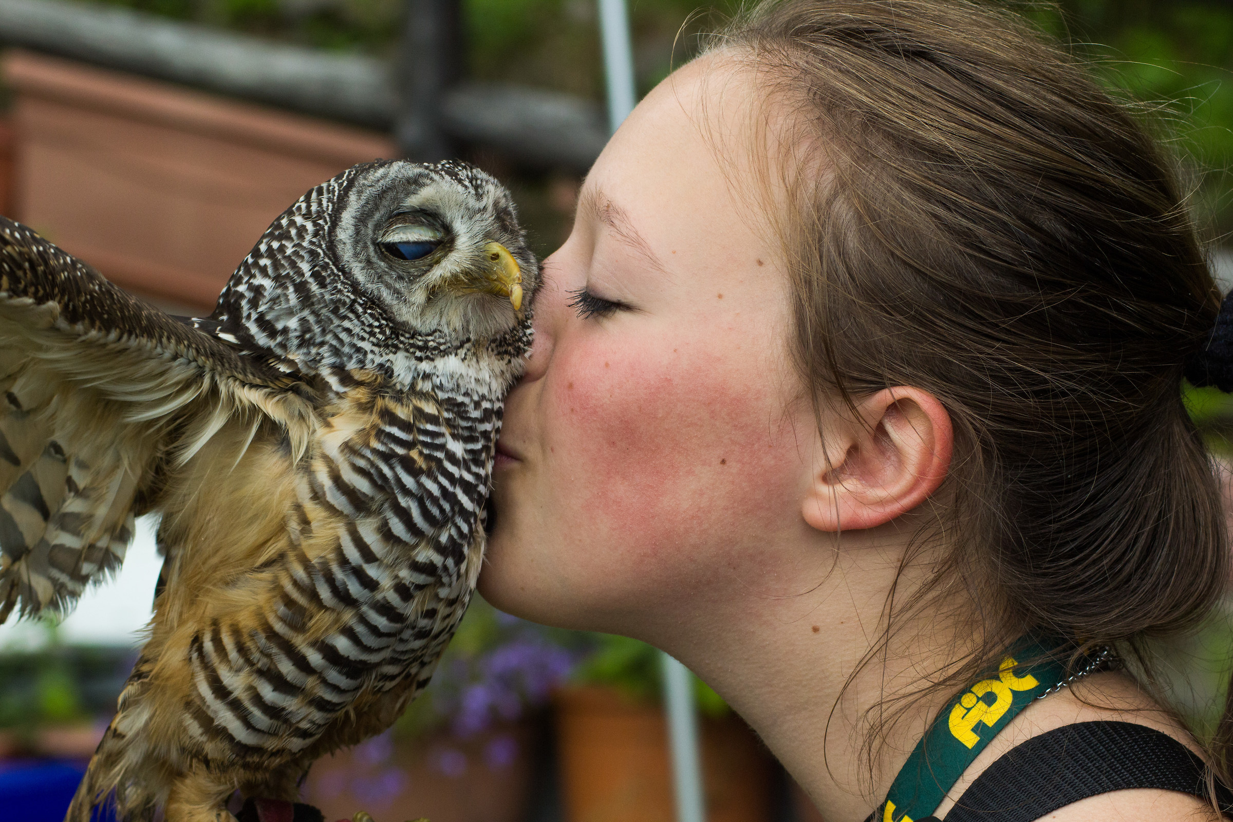 Allocco cuddly red legs