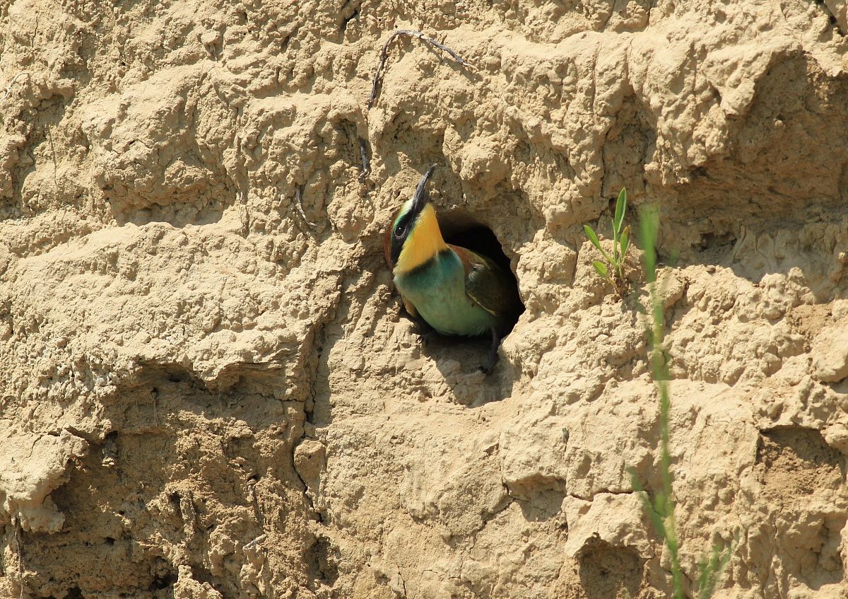 small .. small .............