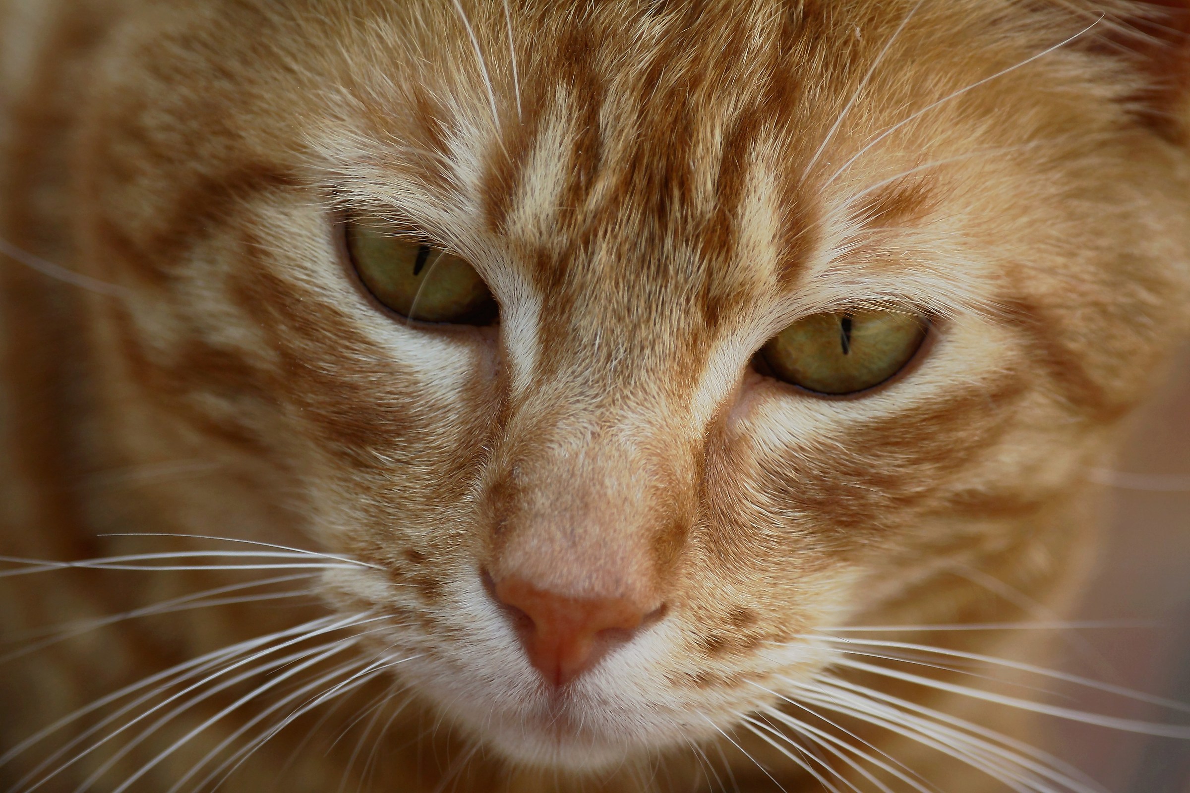 .. un pensiero ... nel cuore !