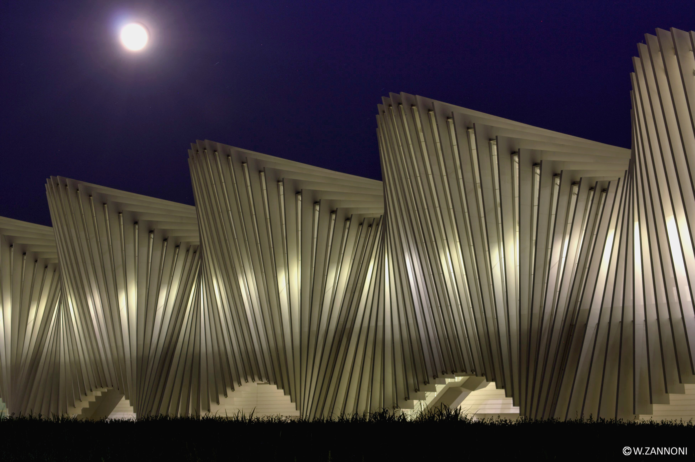 Symphony in the moonlight