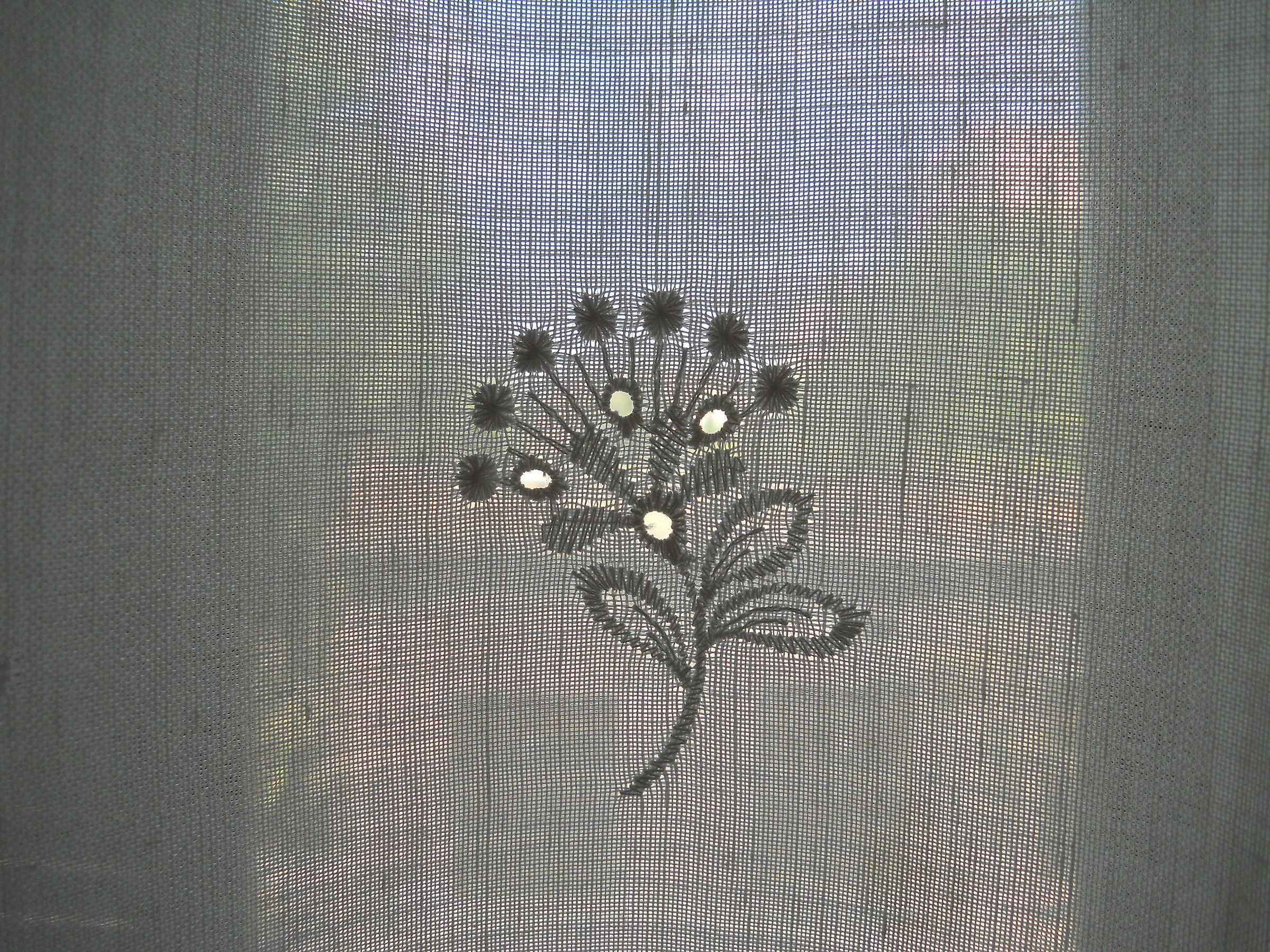 The light through the curtain