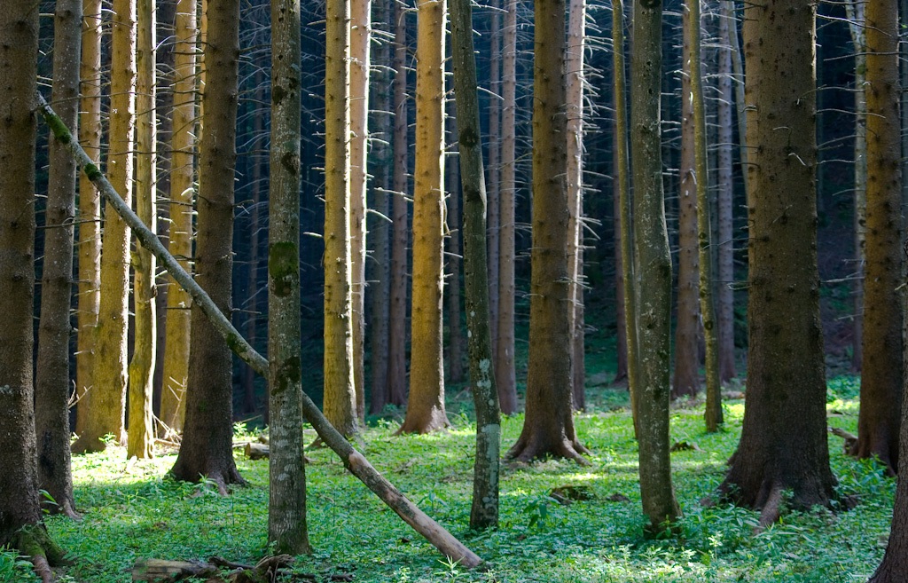 Silenzio. E solo il vento parlò