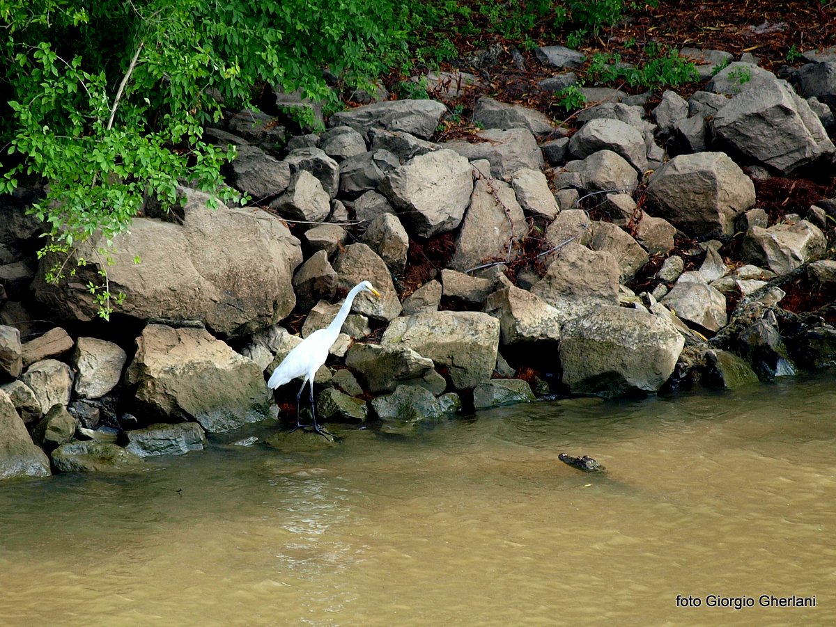 Ognuno per la sua strada?