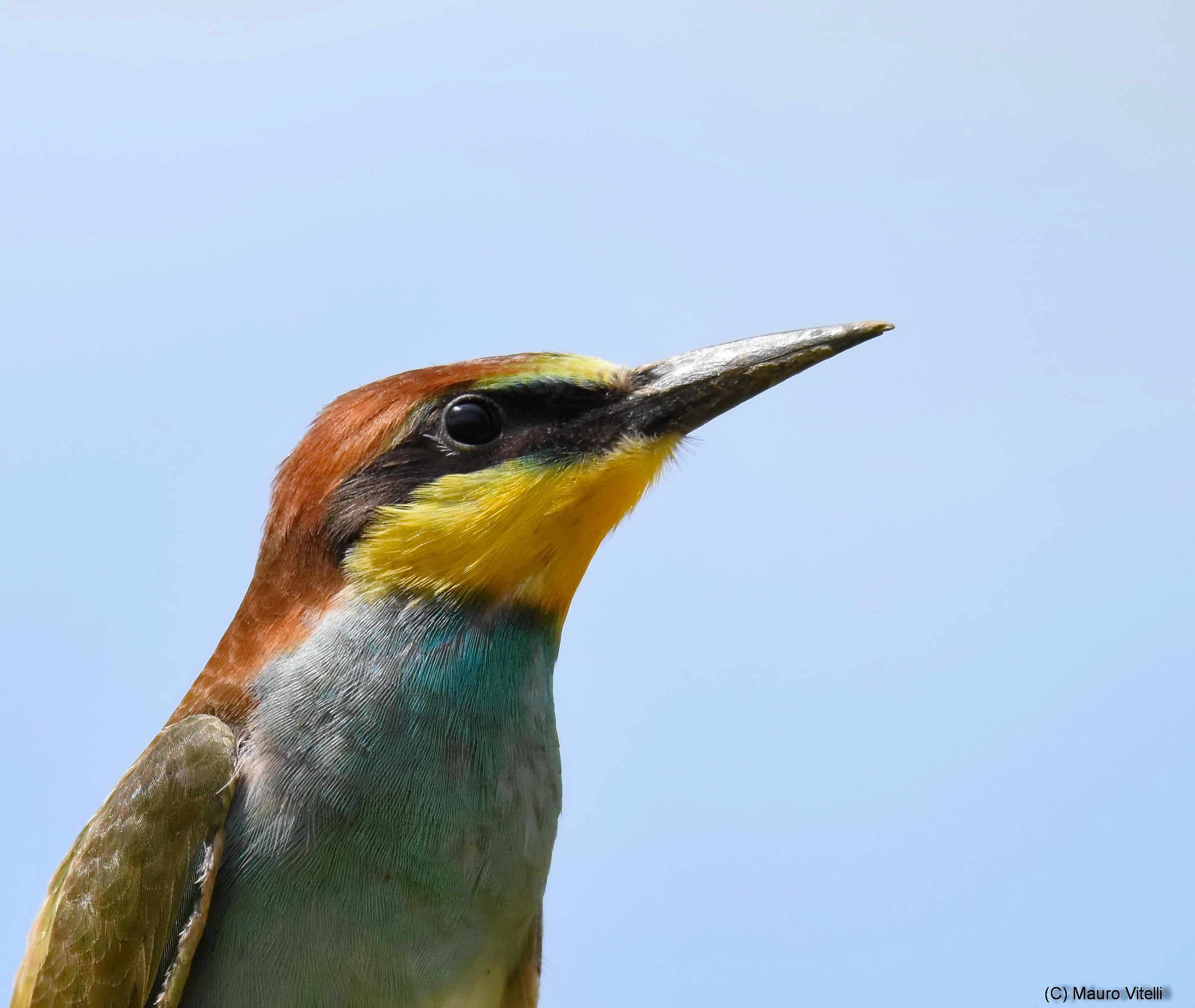 Portrait of young eater