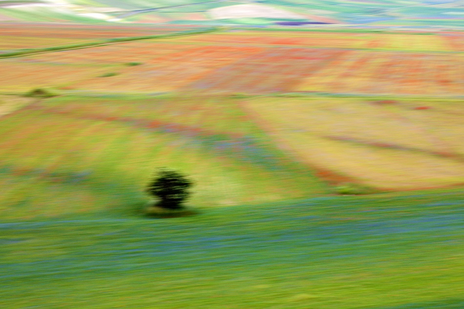 painting with a camera