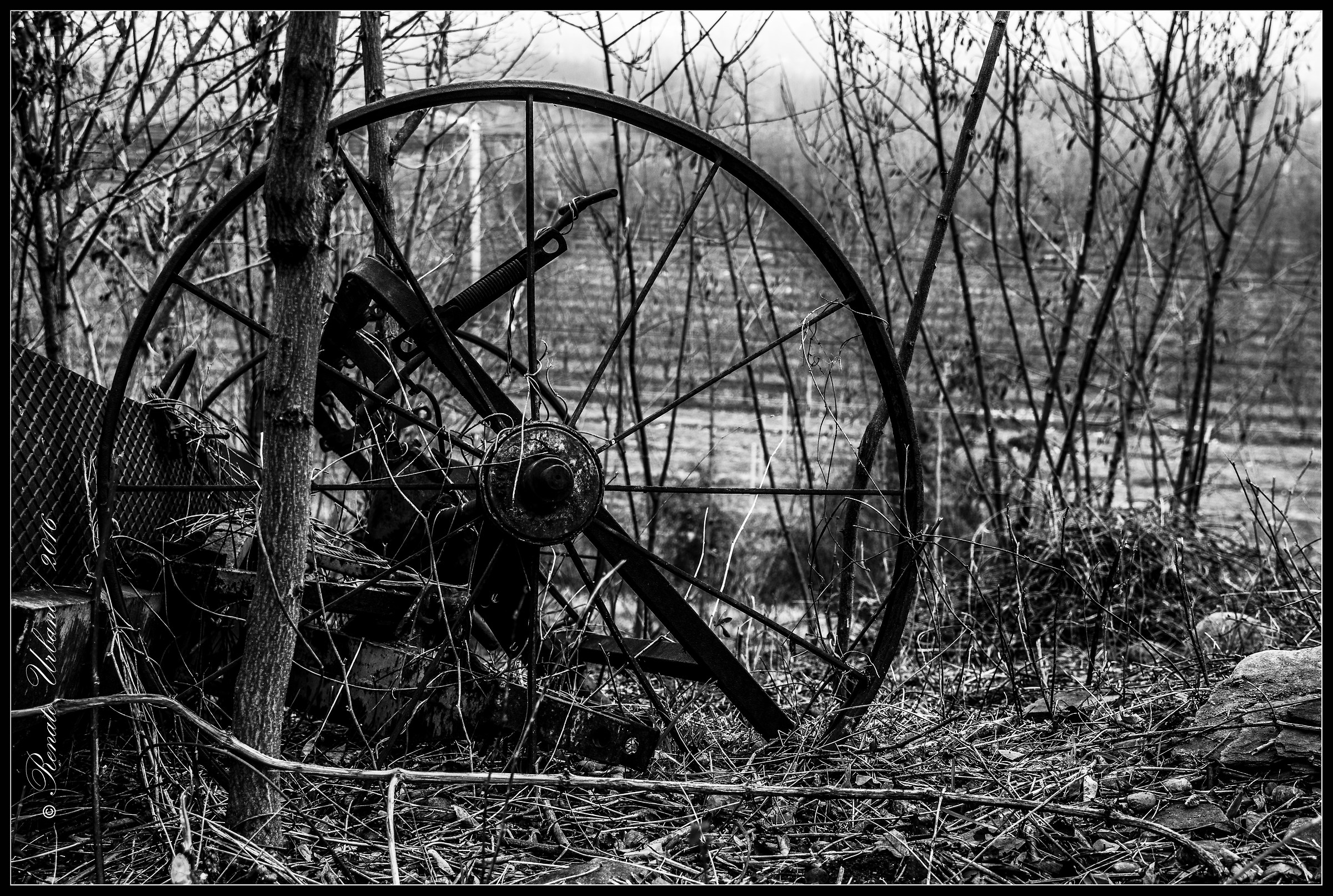 Old machinery forgotten