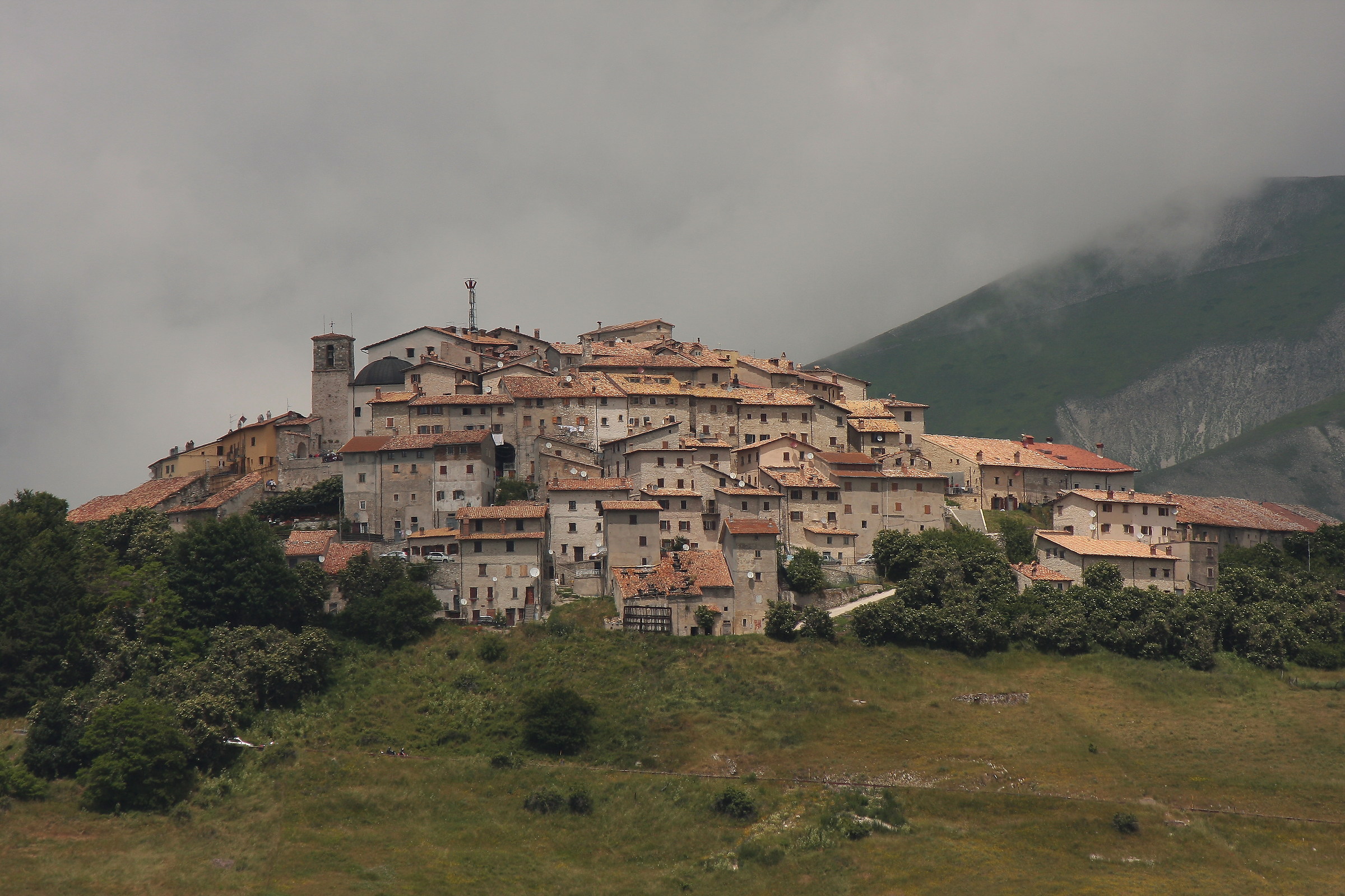 As beautiful as its flowering