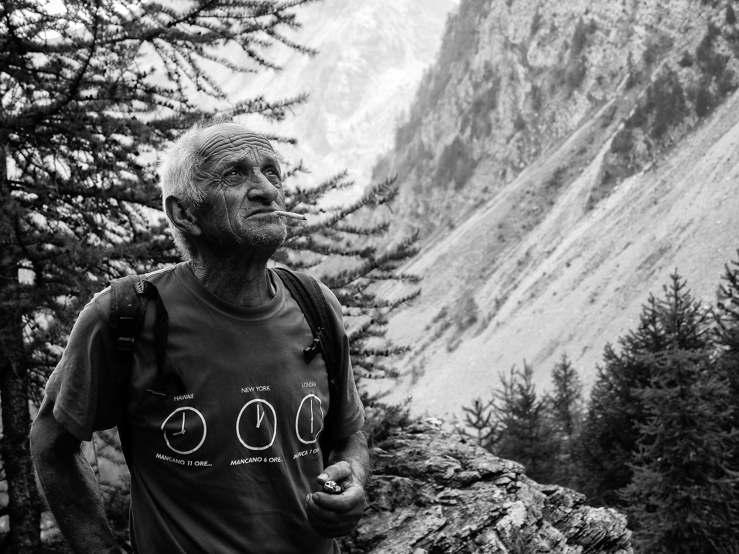 lassù sulle montagne fra boschi e valli in fior