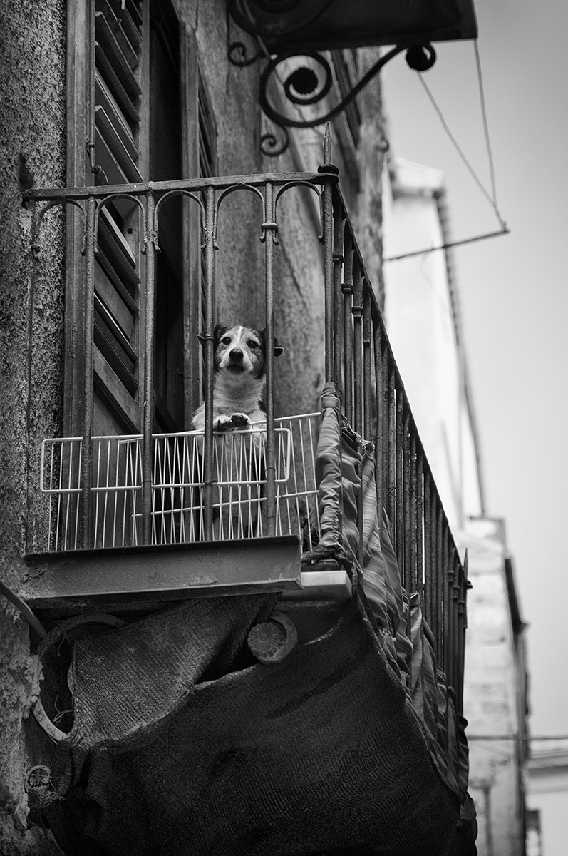 Profumo d'arancia e limone