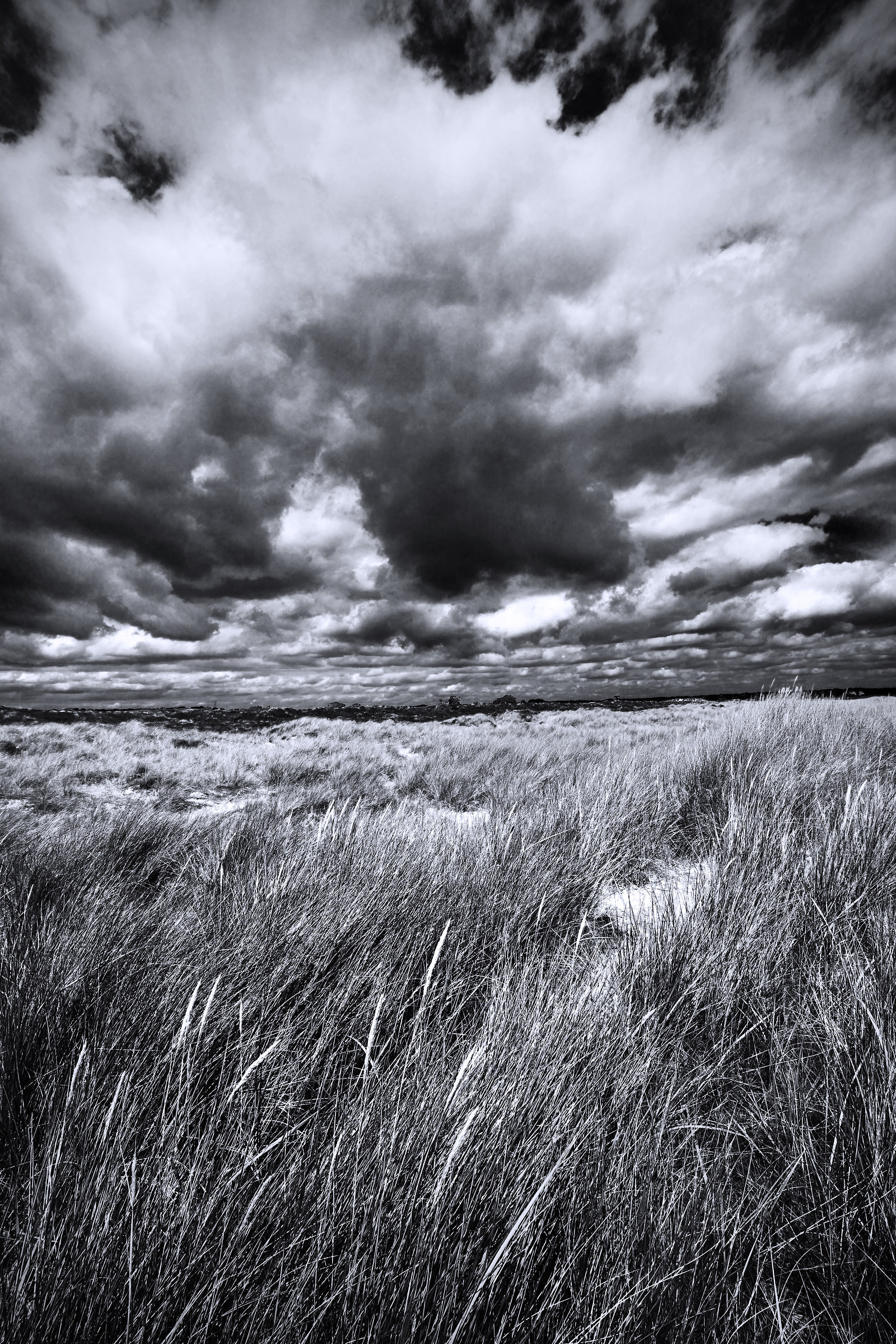 Dunes (Bill Brandt)