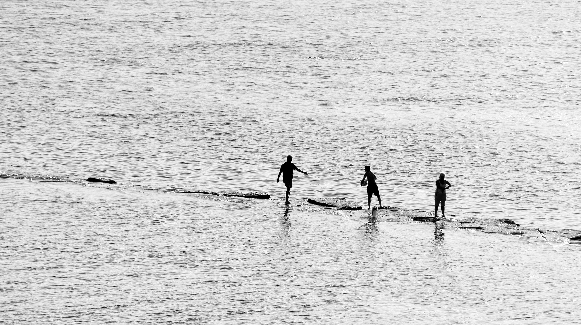 Una battaglia persa?