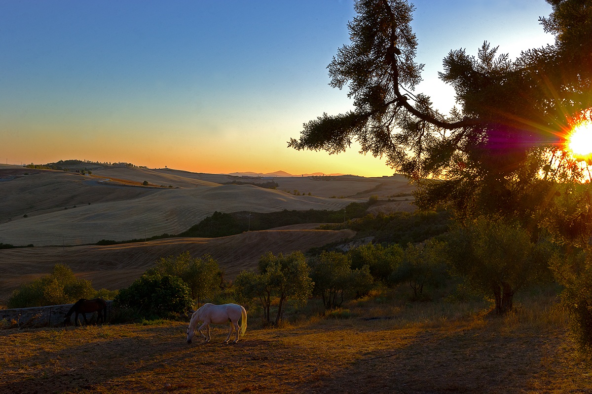 Val d'Orcia al tramonto