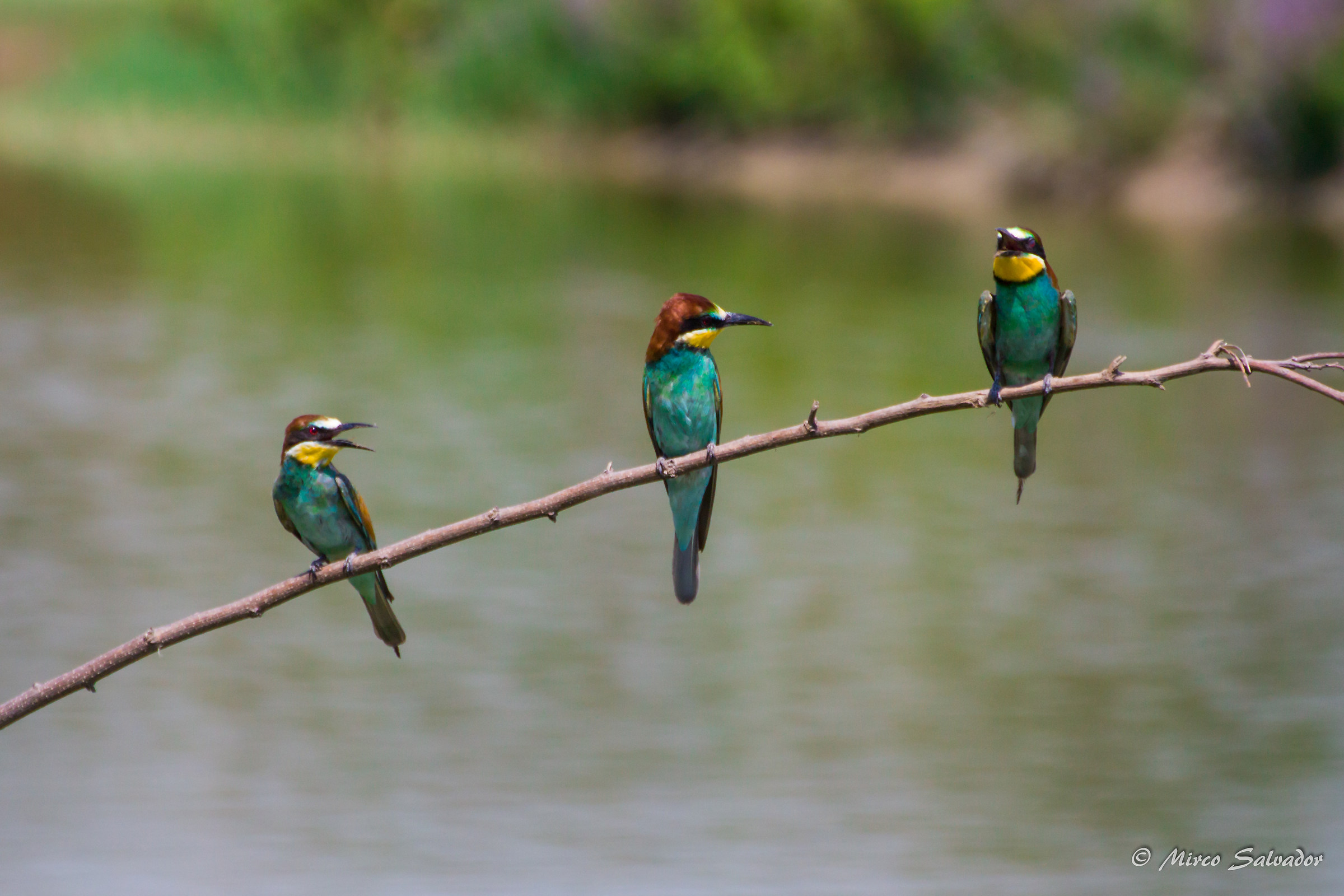 Aldo, Giovanni and Giacomo